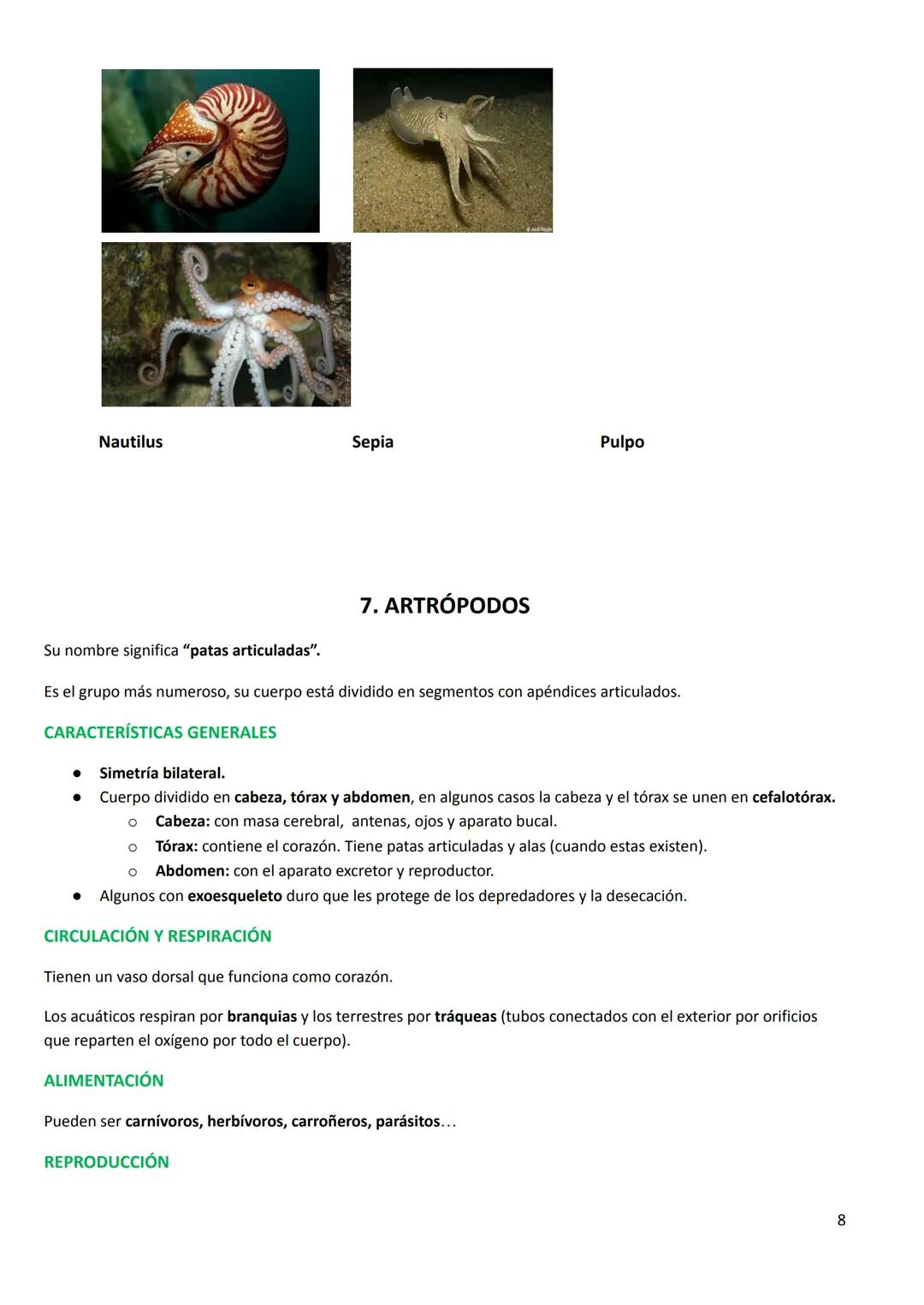 # TEMA 7. LOS ANIMALES INVERTEBRADOS
CARACTERÍSTICAS GENERALES
- Tamaño: podemos encontrar desde la microscópica pulga de agua hasta el ca