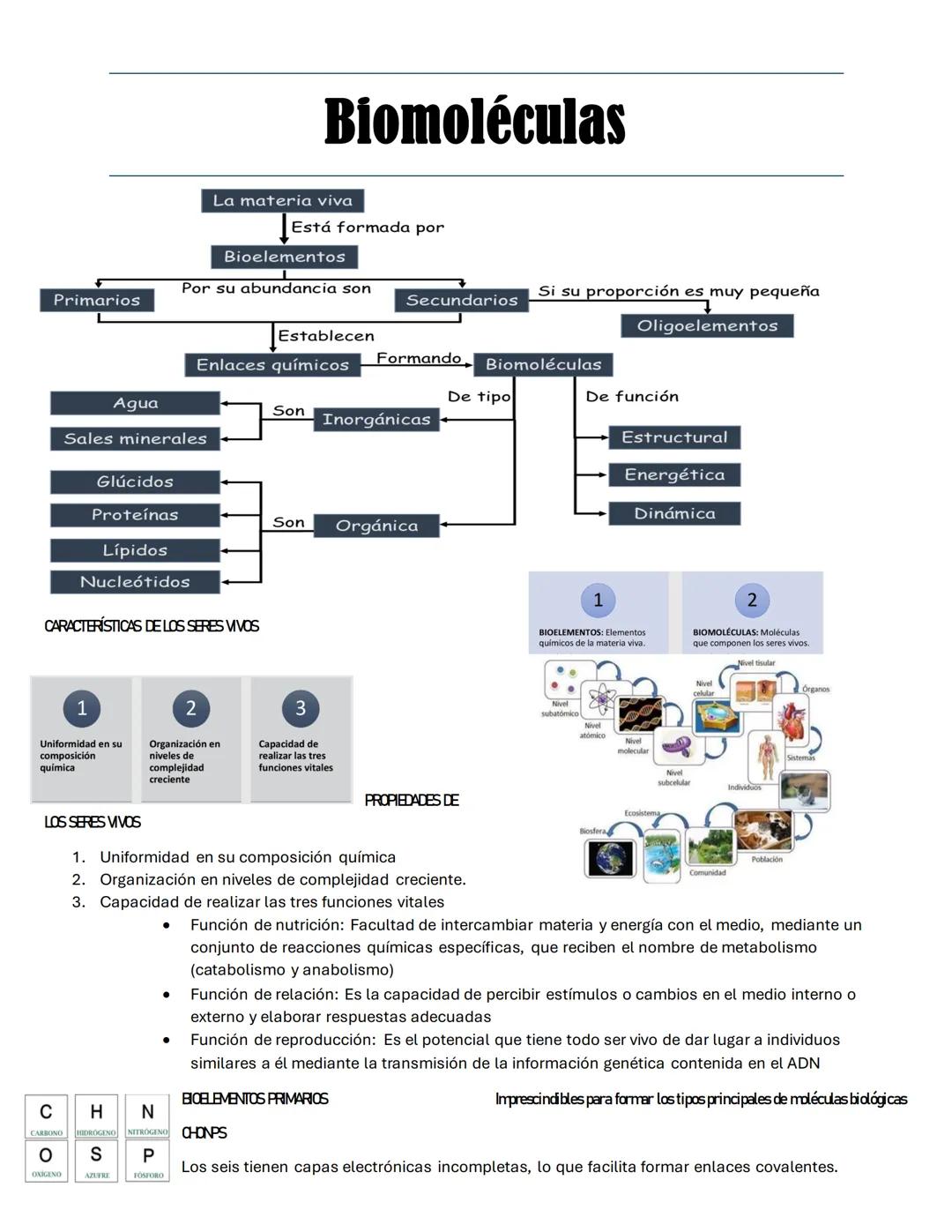 # Biomoléculas
La materia viva
Está formada por
Bioelementos
Por su abundancia son
Primarios
Secundarios
Si su proporción es muy pequeñ