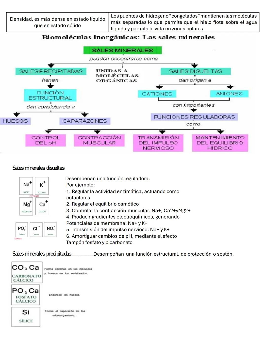 # Biomoléculas
La materia viva
Está formada por
Bioelementos
Por su abundancia son
Primarios
Secundarios
Si su proporción es muy pequeñ