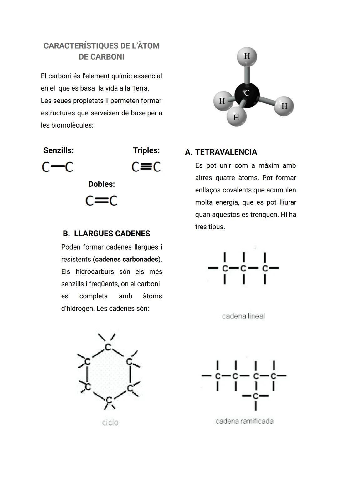 ÍNDEX
..
1. LA COMPOSICIÓ DE LA MATÈRIA VIVA...
2
1.1. CARACTERÍSTIQUES DELS ÉSSERS VIUS...
2
1.2. ELS BIOELEMENTS...
2
1.3. BIOMOLÈCULES O
