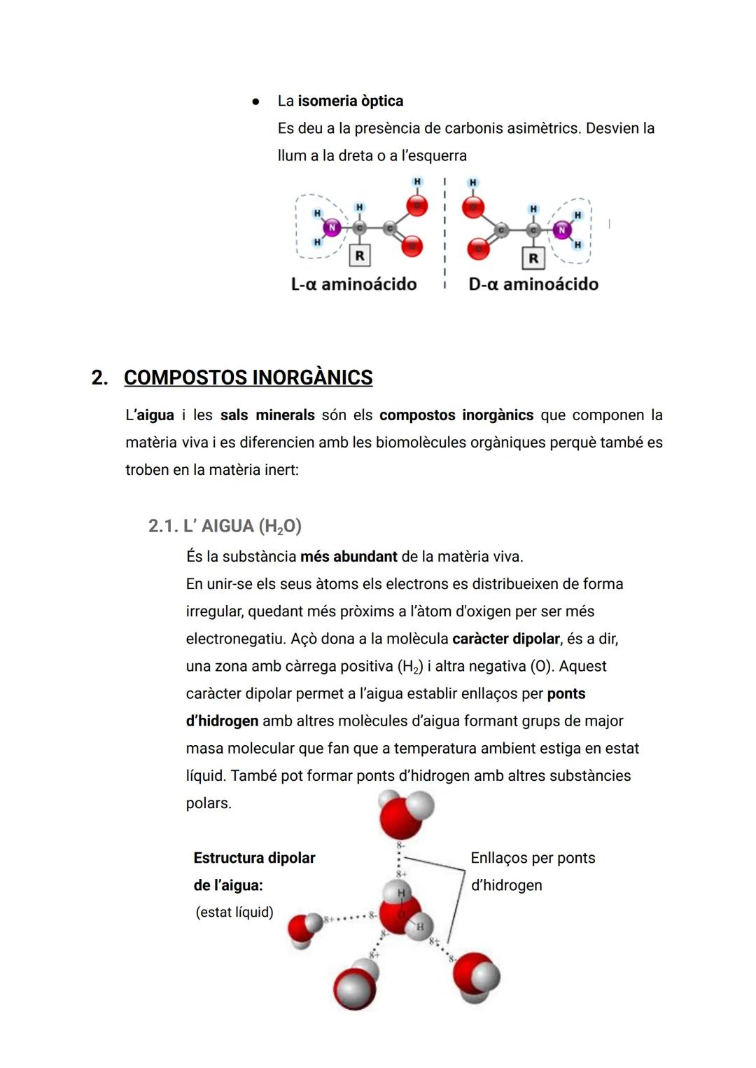 ÍNDEX
..
1. LA COMPOSICIÓ DE LA MATÈRIA VIVA...
2
1.1. CARACTERÍSTIQUES DELS ÉSSERS VIUS...
2
1.2. ELS BIOELEMENTS...
2
1.3. BIOMOLÈCULES O