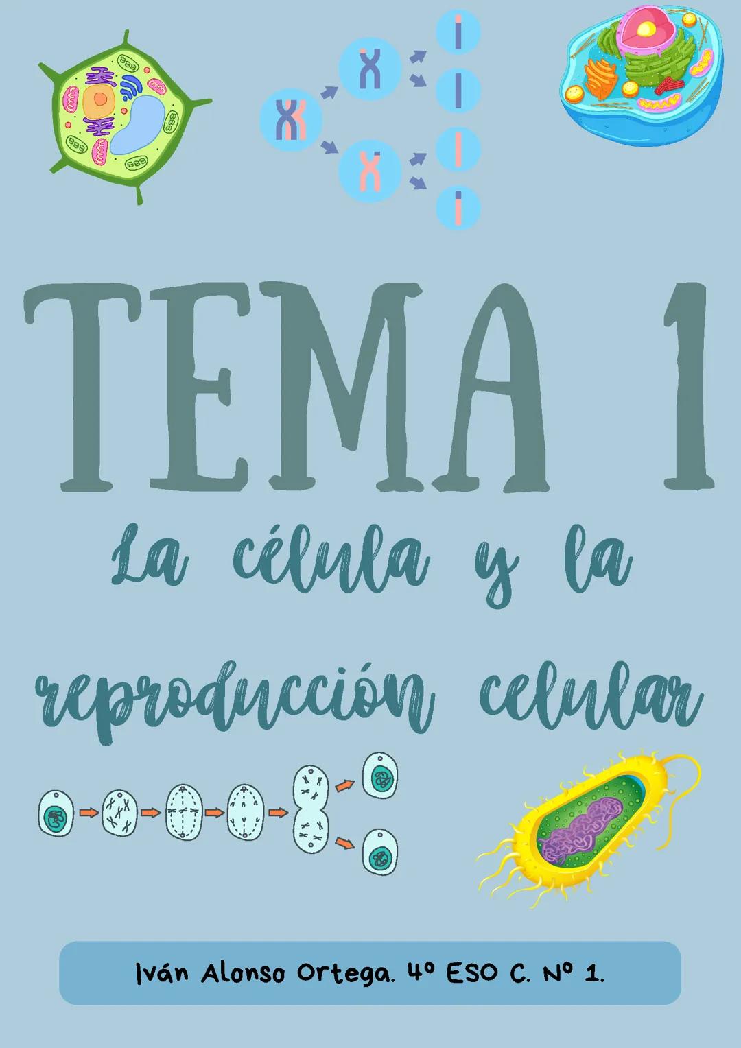 La célula y la reproducción celular.