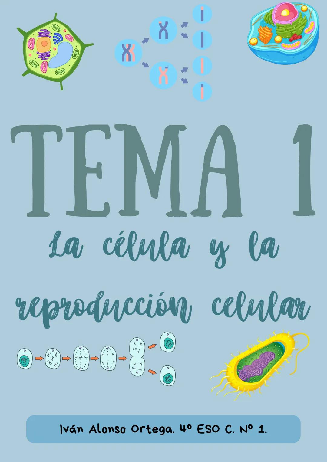 --- OCR Start ---
X
TEMA 1
La célula y la
reproducción celular
Iván Alonso Ortega. 4º ESO C. N^{0} 1.
--- OCR End --- 1. Concepto de ser viv