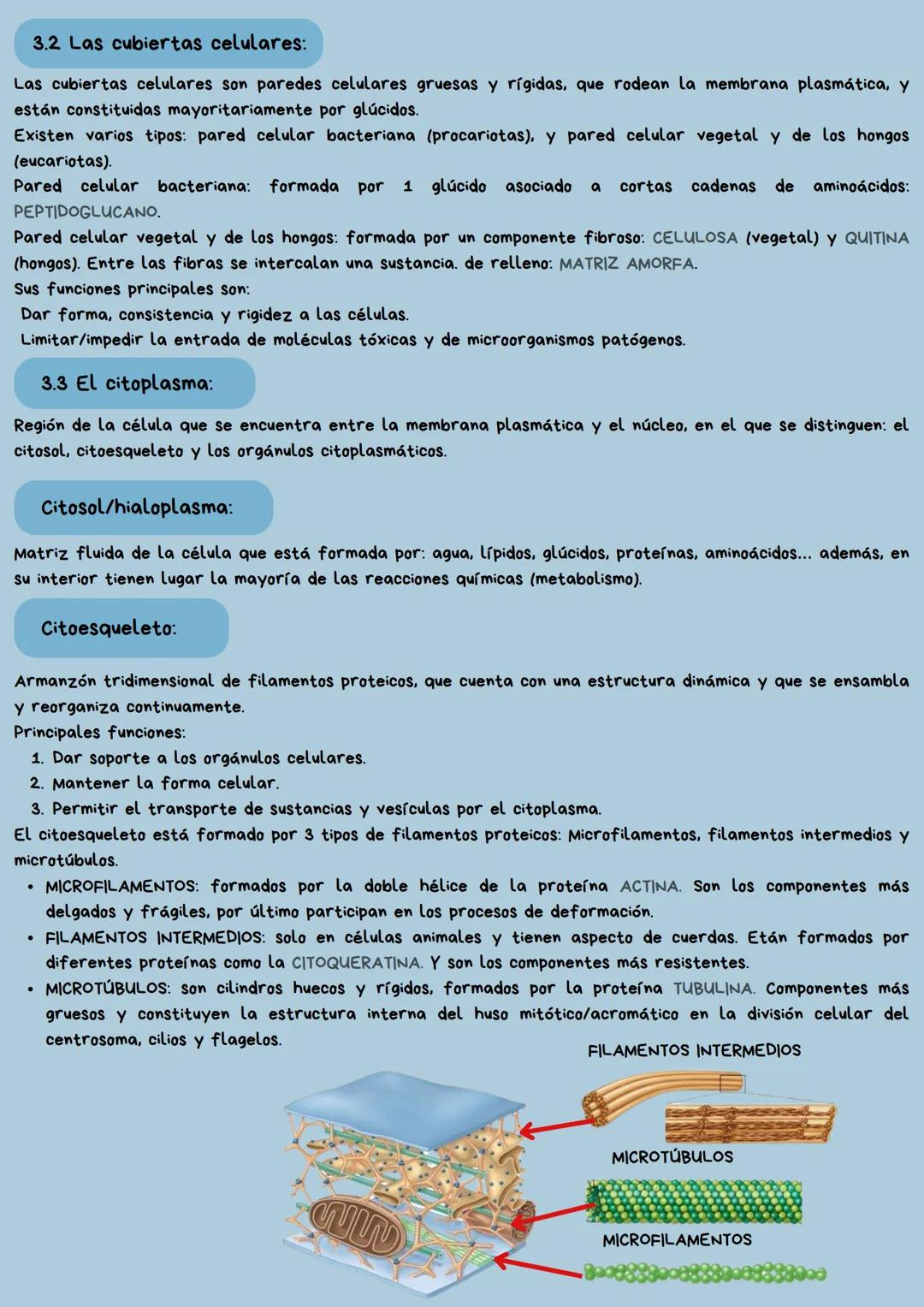 --- OCR Start ---
X
TEMA 1
La célula y la
reproducción celular
Iván Alonso Ortega. 4º ESO C. N^{0} 1.
--- OCR End --- 1. Concepto de ser viv