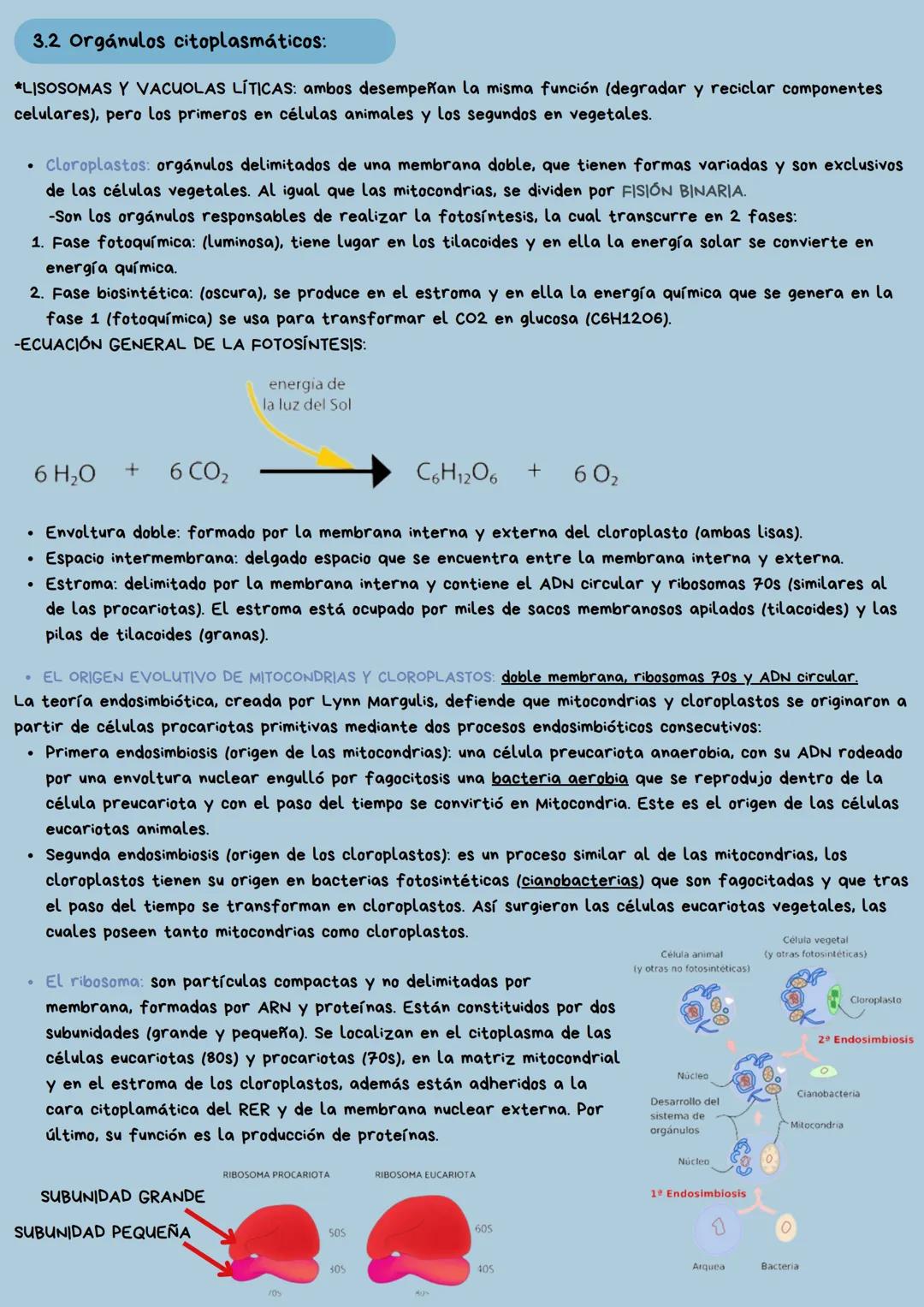 --- OCR Start ---
X
TEMA 1
La célula y la
reproducción celular
Iván Alonso Ortega. 4º ESO C. N^{0} 1.
--- OCR End --- 1. Concepto de ser viv