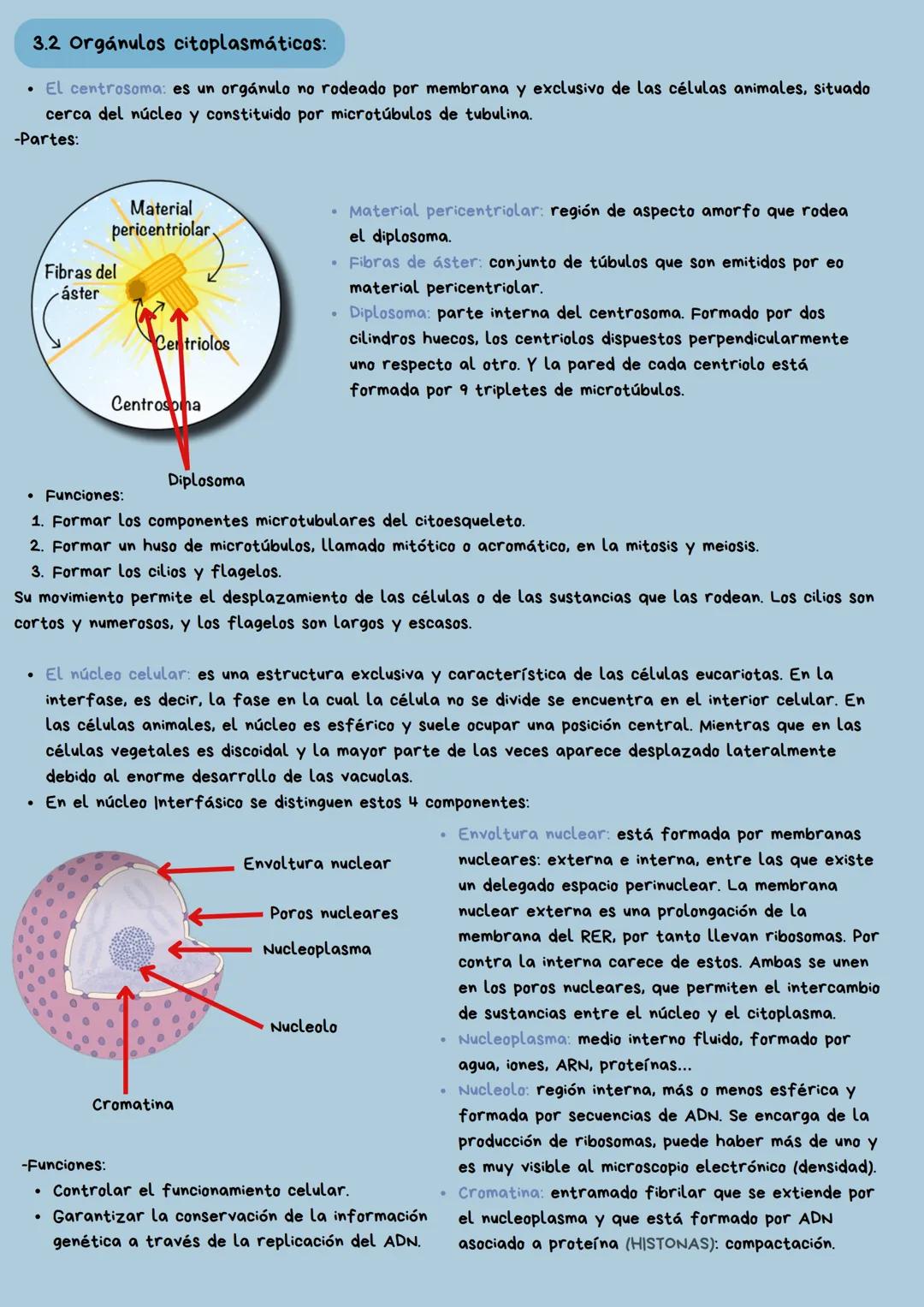 --- OCR Start ---
X
TEMA 1
La célula y la
reproducción celular
Iván Alonso Ortega. 4º ESO C. N^{0} 1.
--- OCR End --- 1. Concepto de ser viv