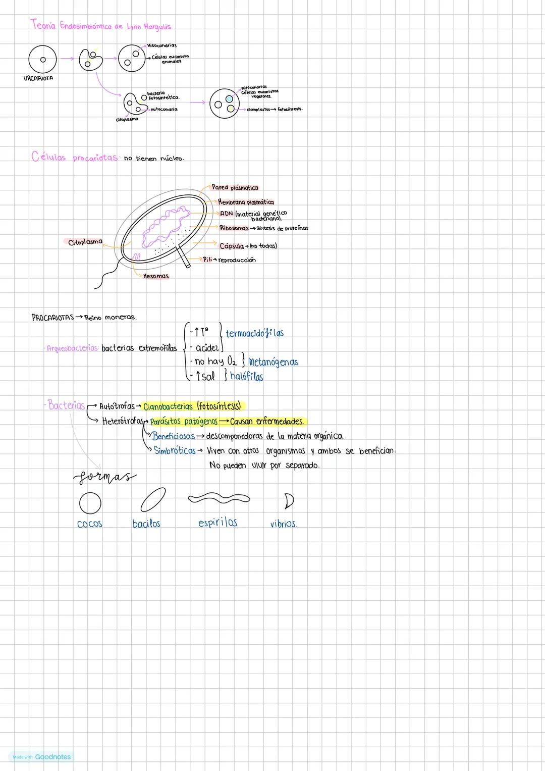 Made with Goodnotes --- OCR Start ---
biologia
Teoría celular principios: (1333)
- Todos los seres vivos están formados por una o más célula