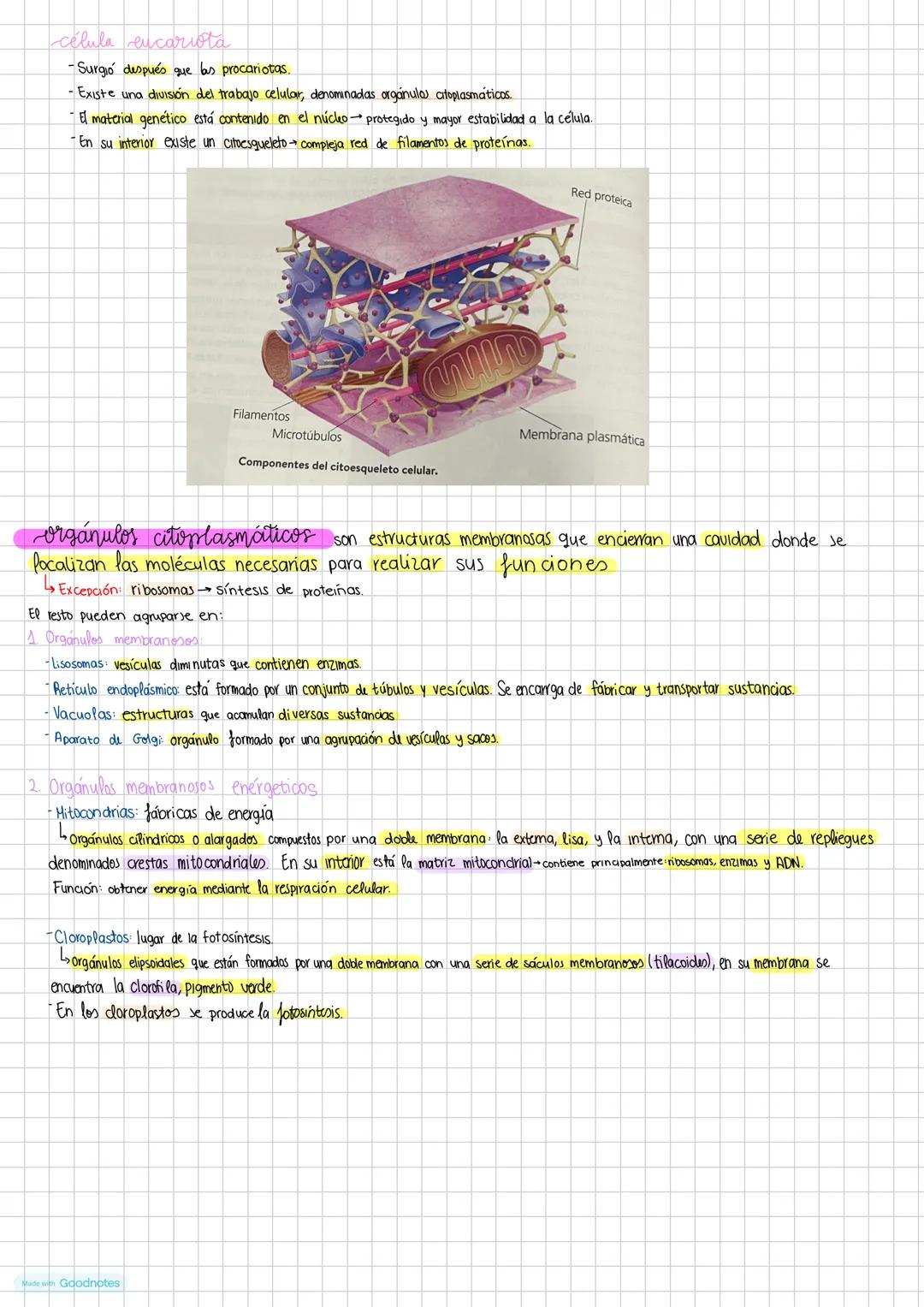 Made with Goodnotes --- OCR Start ---
biologia
Teoría celular principios: (1333)
- Todos los seres vivos están formados por una o más célula