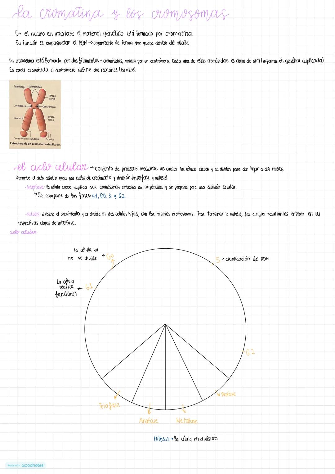 Made with Goodnotes --- OCR Start ---
biologia
Teoría celular principios: (1333)
- Todos los seres vivos están formados por una o más célula