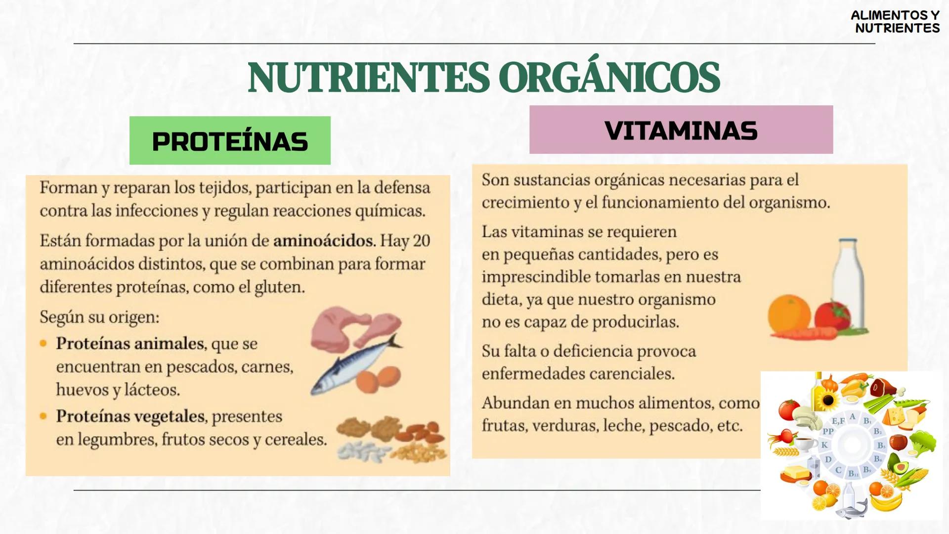 # La
alimentación
3oESO ByG 24-25 # ÍNDICE
1 Los alimentos y los nutrientes
2 Valor energético de los nutrientes
3 La dieta saludable