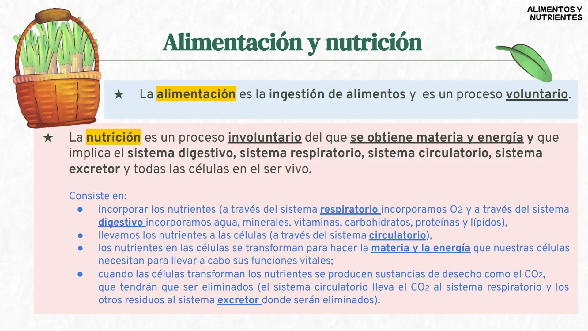 # La
alimentación
3oESO ByG 24-25 # ÍNDICE
1 Los alimentos y los nutrientes
2 Valor energético de los nutrientes
3 La dieta saludable