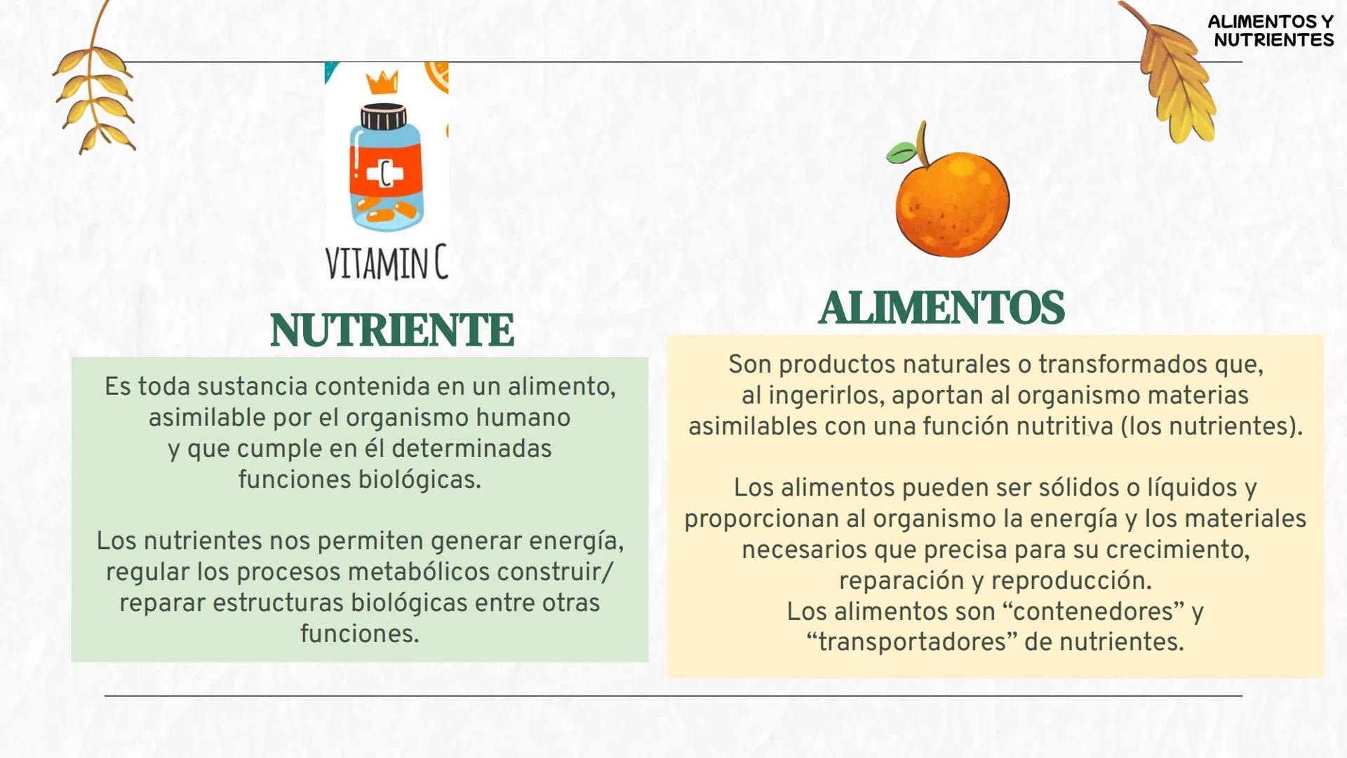 # La
alimentación
3oESO ByG 24-25 # ÍNDICE
1 Los alimentos y los nutrientes
2 Valor energético de los nutrientes
3 La dieta saludable