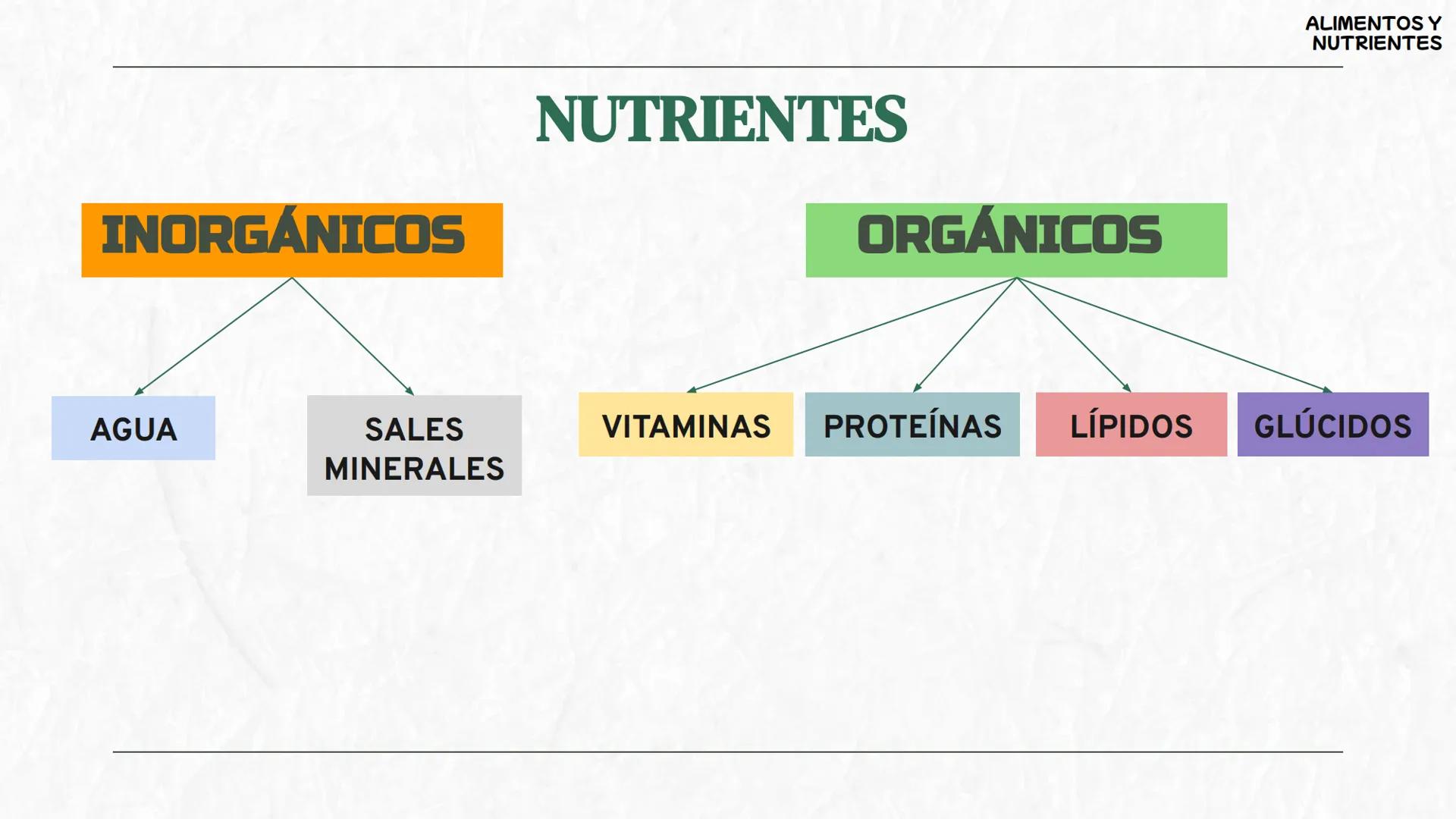 # La
alimentación
3oESO ByG 24-25 # ÍNDICE
1 Los alimentos y los nutrientes
2 Valor energético de los nutrientes
3 La dieta saludable
