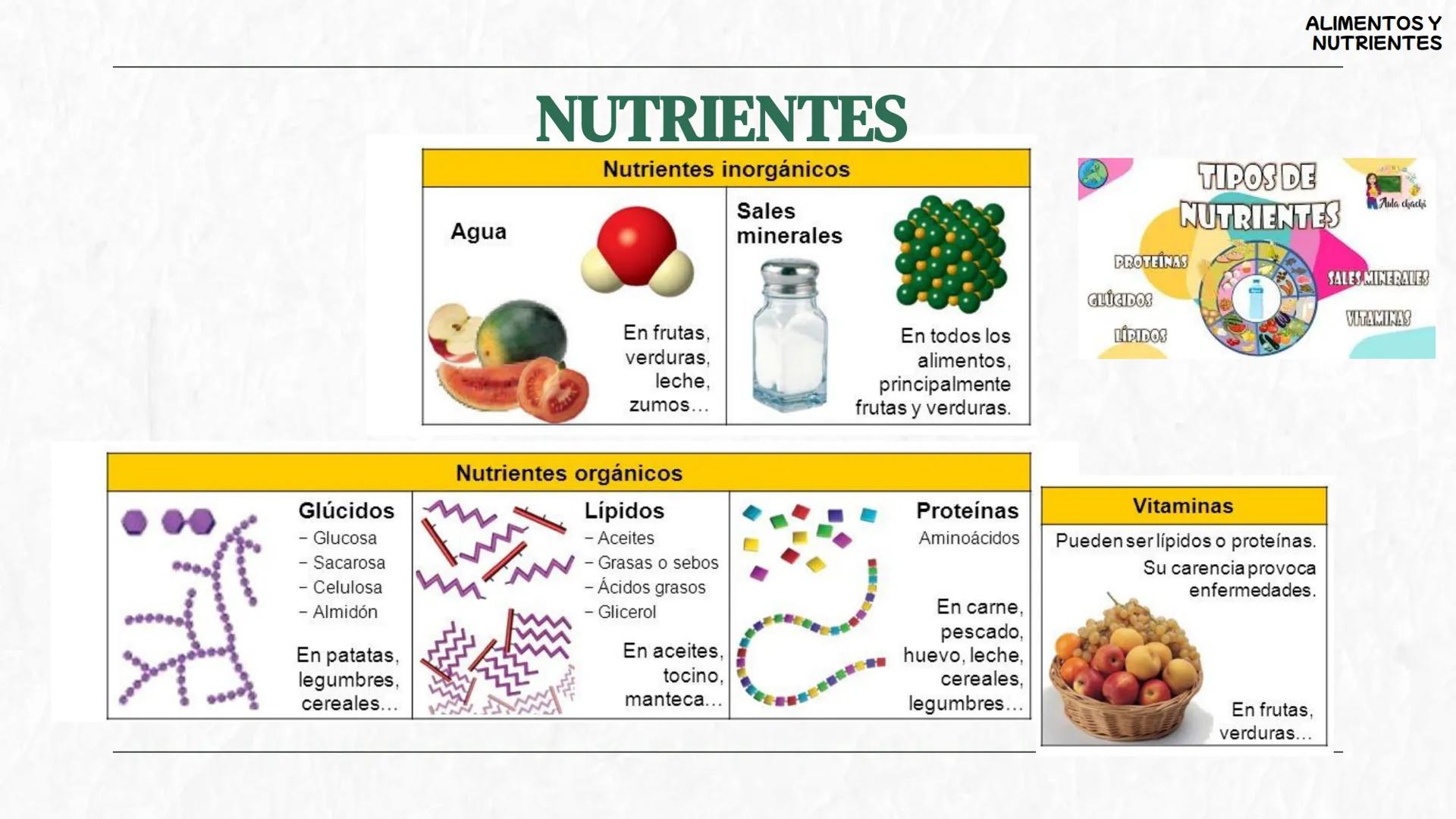 # La
alimentación
3oESO ByG 24-25 # ÍNDICE
1 Los alimentos y los nutrientes
2 Valor energético de los nutrientes
3 La dieta saludable