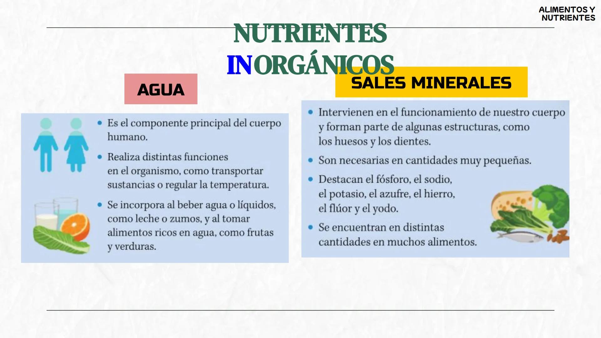 # La
alimentación
3oESO ByG 24-25 # ÍNDICE
1 Los alimentos y los nutrientes
2 Valor energético de los nutrientes
3 La dieta saludable