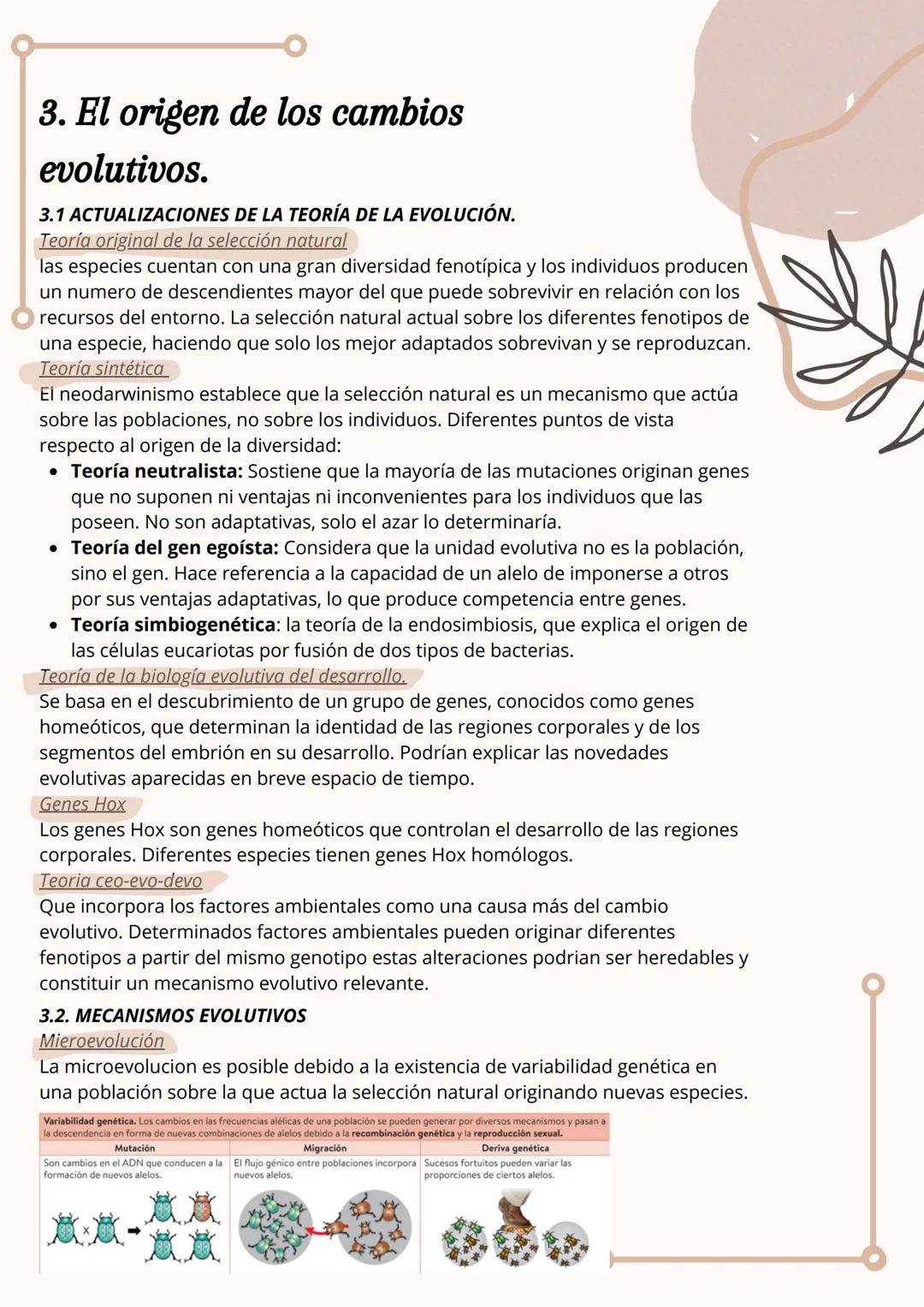 # Evolución y
clasificación de
los seres vivos
Tema.6
1. Los grandes cambios en los seres vivos
Extinciones de grandes grupos de organismo