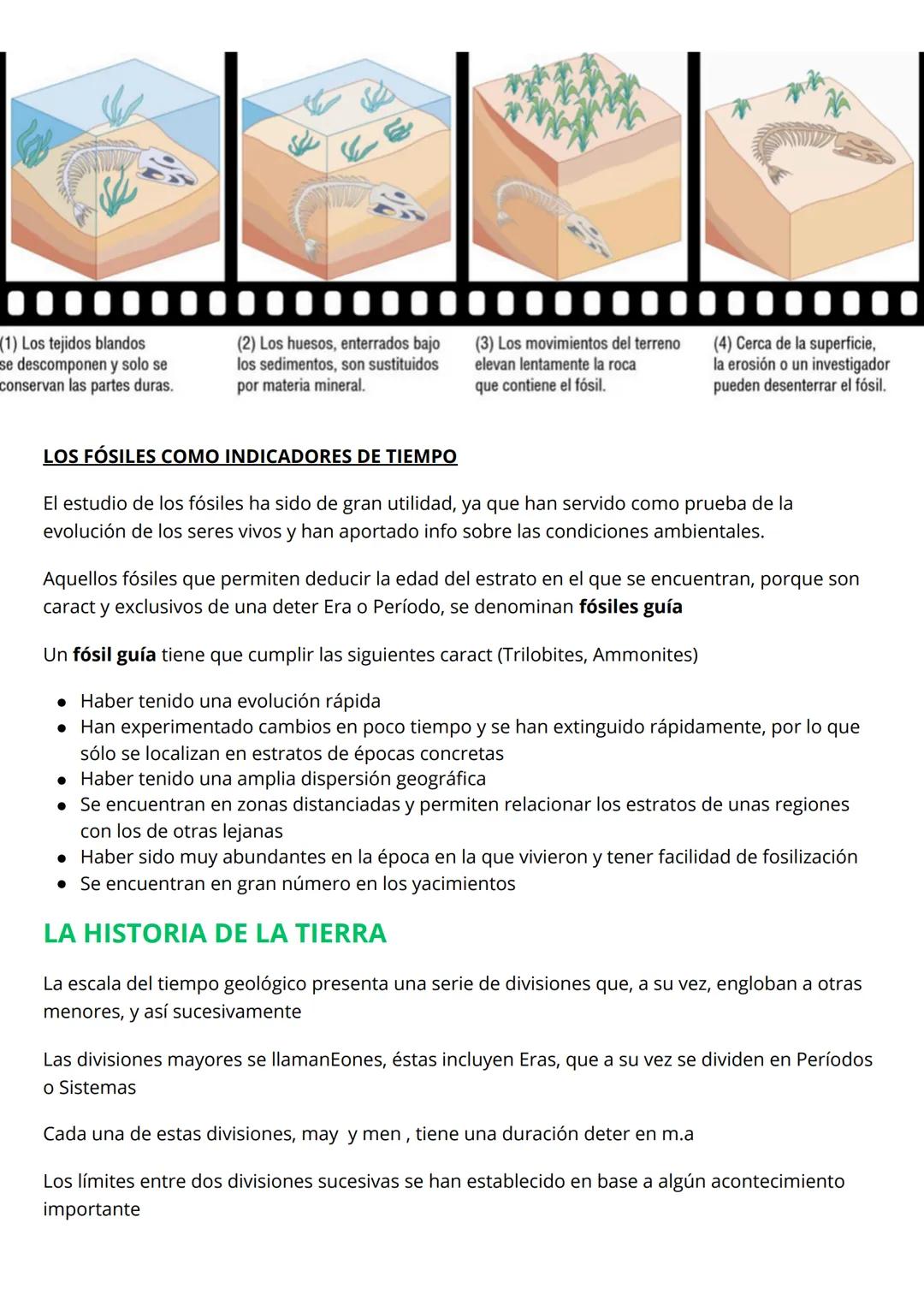 # T1 LA HISTORIA DE LA TIERRA
LA TIERRA EN EL UNIVERSO
La Tierra se encuentra en la Vía Láctea galaxia de forma espiral.
La Vía Láctea ti