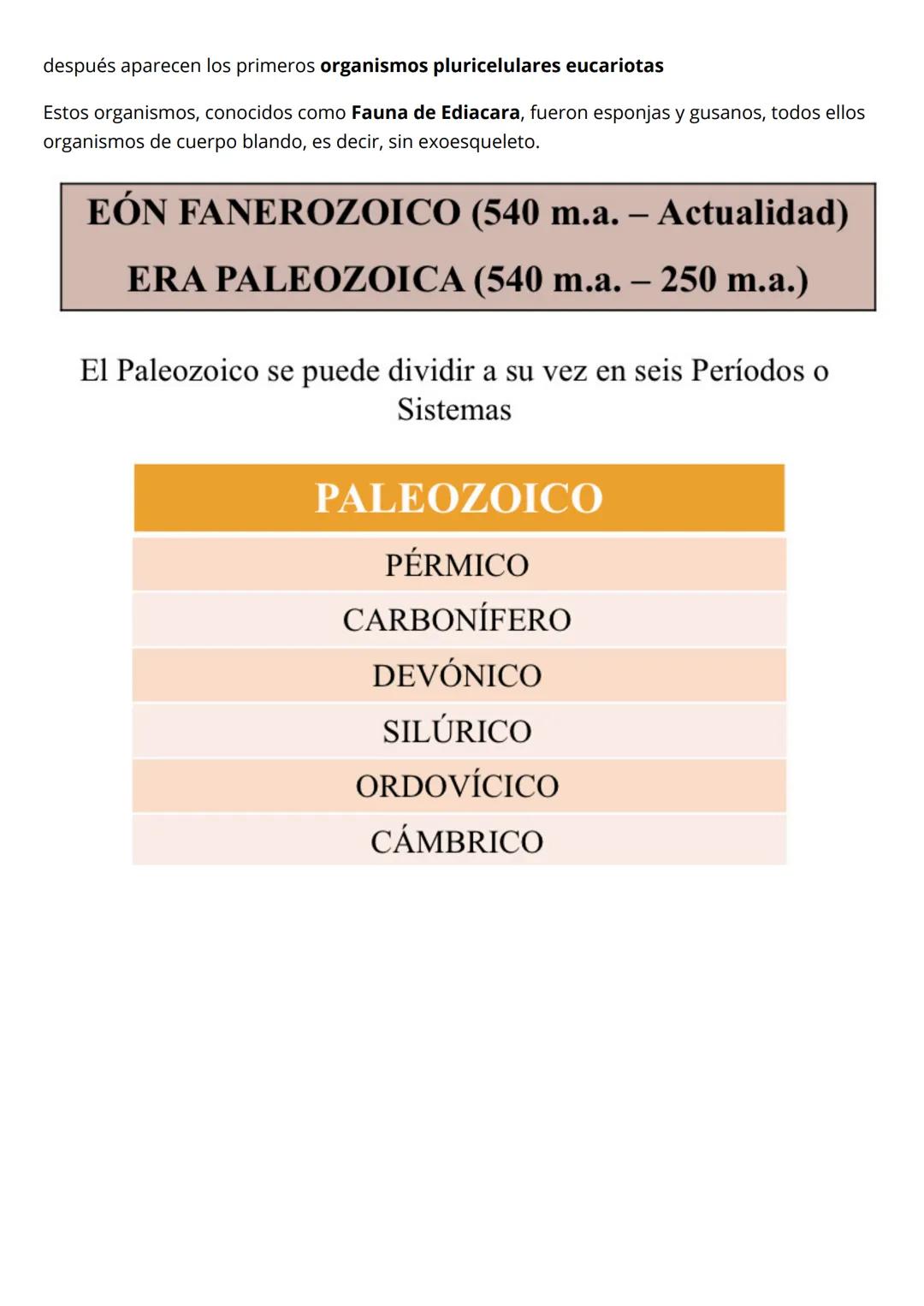 # T1 LA HISTORIA DE LA TIERRA
LA TIERRA EN EL UNIVERSO
La Tierra se encuentra en la Vía Láctea galaxia de forma espiral.
La Vía Láctea ti