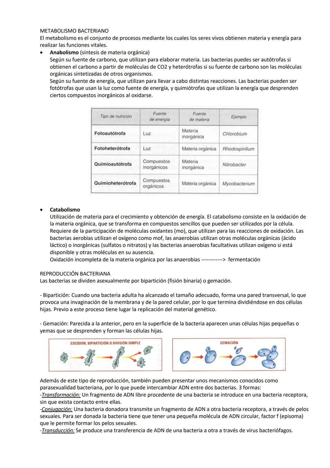 # MICROORGANISMOS Y FORMAS ACELULARES
1. MICROORGANISMOS: Concepto y diversidad
Los microorganismos son un grupo de seres vivos que solo p