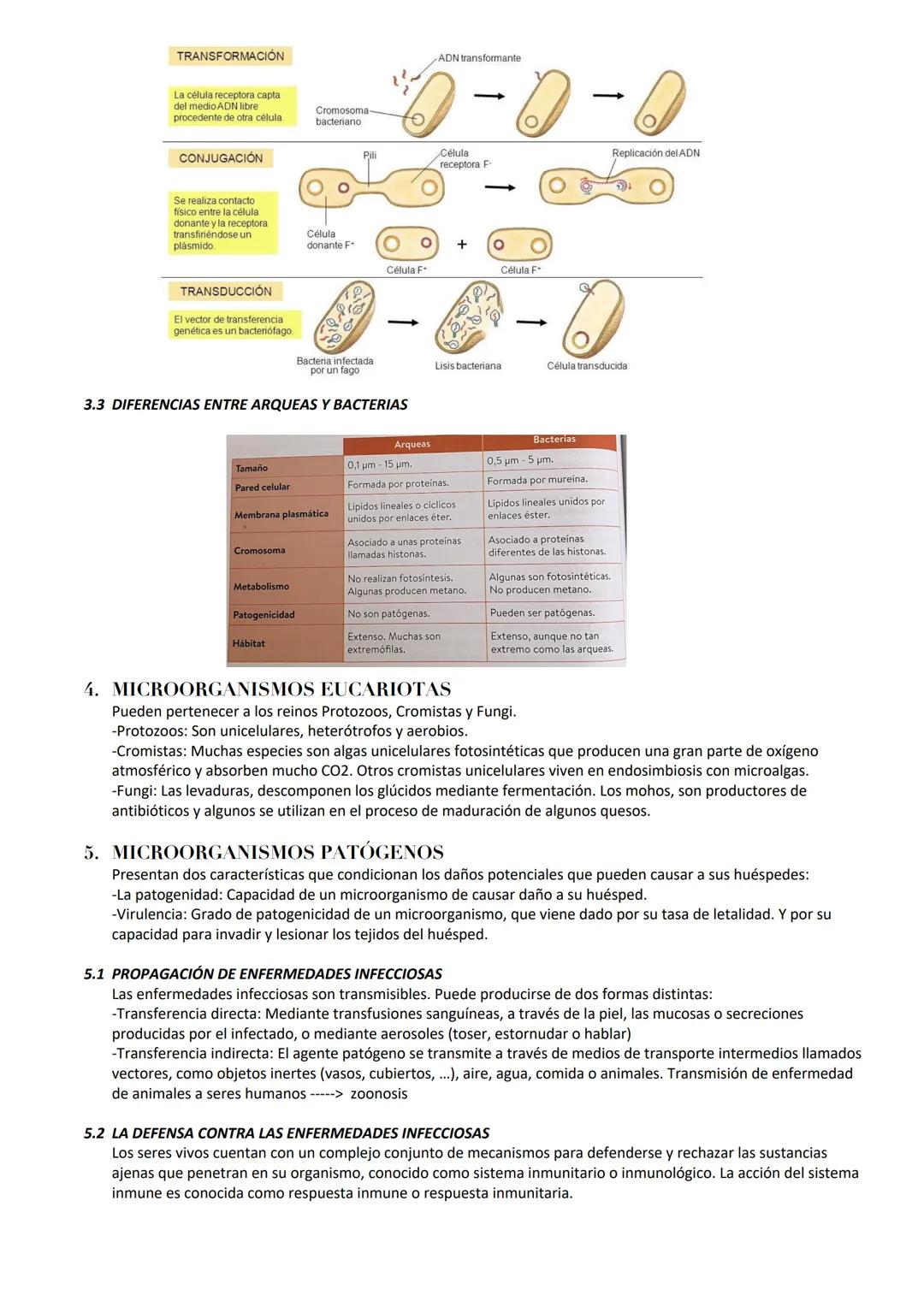 # MICROORGANISMOS Y FORMAS ACELULARES
1. MICROORGANISMOS: Concepto y diversidad
Los microorganismos son un grupo de seres vivos que solo p