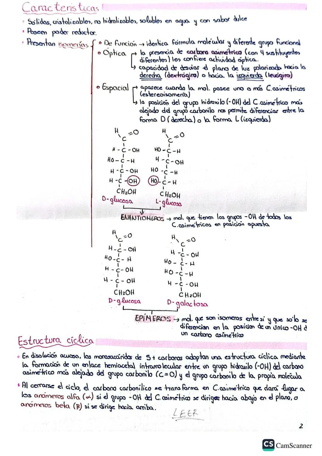 BLOQUE 1
Temas: 1, 2, 3, 4,5
BASE BIOLOGICA DE LA VIDA
1. AGUA Y SALES MINERALES
1. Bioelementas y biomoléculas
• Bioelementos elementos