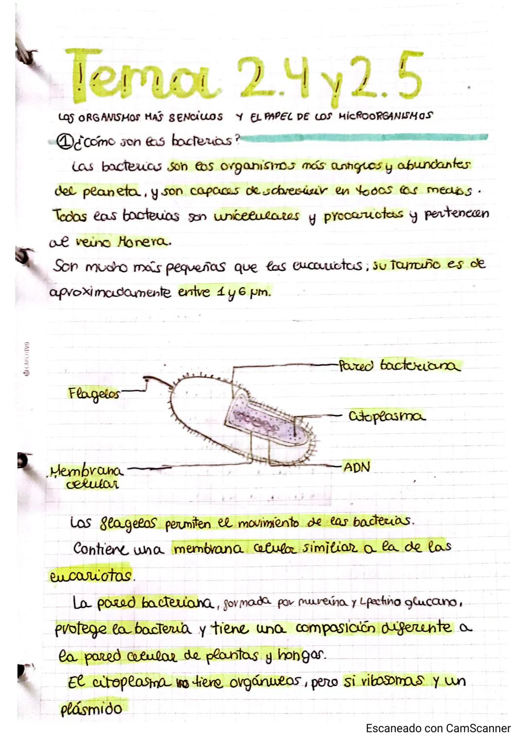 CARCHIVO
# Tema 2.4y2.5
LOS ORGANISMOS MÁS SENCILLOS Y EL PAPEL DE LOS MICROORGANISMOS
¿cómo son eas bacterias?
Las bacterias son eos orga
