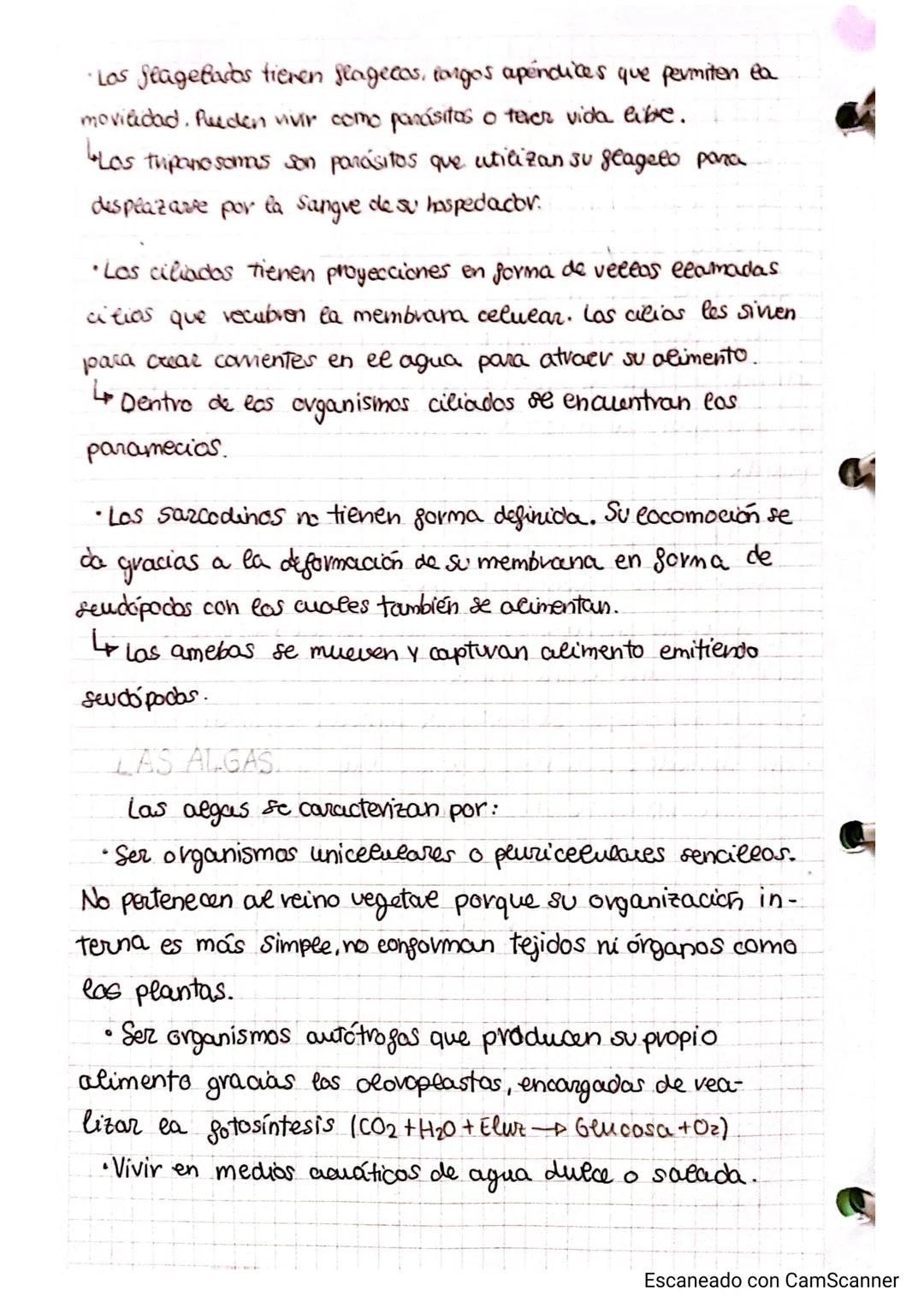 CARCHIVO
# Tema 2.4y2.5
LOS ORGANISMOS MÁS SENCILLOS Y EL PAPEL DE LOS MICROORGANISMOS
¿cómo son eas bacterias?
Las bacterias son eos orga