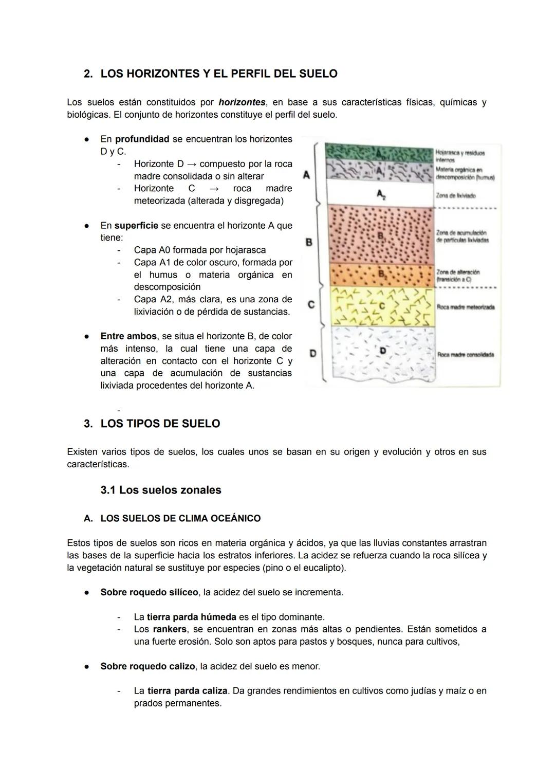 --- OCR Start ---
SUELOS Y VEGETACIÓN
LAS FORMACIONES VEGETALES
La vegetación es el conjunto de especies vegetales de un territorio. En la T