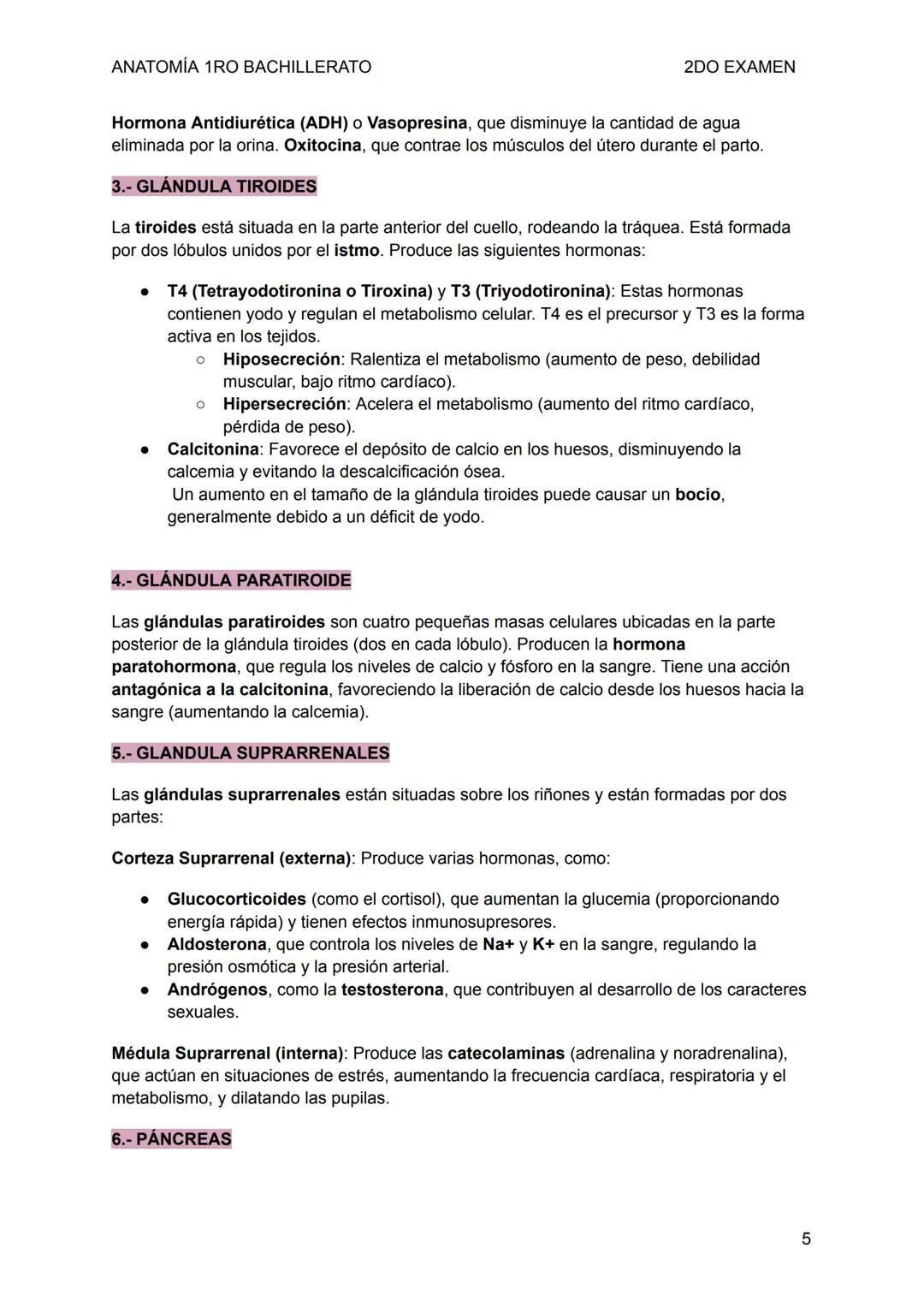 ANATOMÍA 1RO BACHILLERATO
SISTEMA NERVIOSO
2DO EXAMEN
1-. LA FUNCIÓN DE RELACIÓN
La función de relación permite captar estímulos mediant
