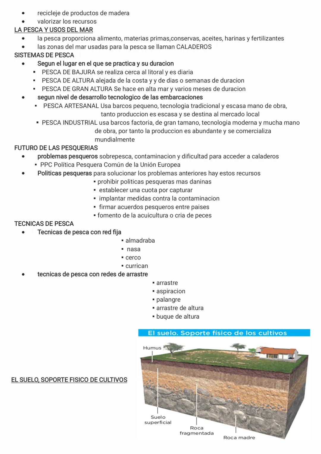 SECTOR PRIMARIO actividades economicas dedicadas a obtener recursos de la naturaleza, lo forman la
agricultura, ganaderia, explotacion fores