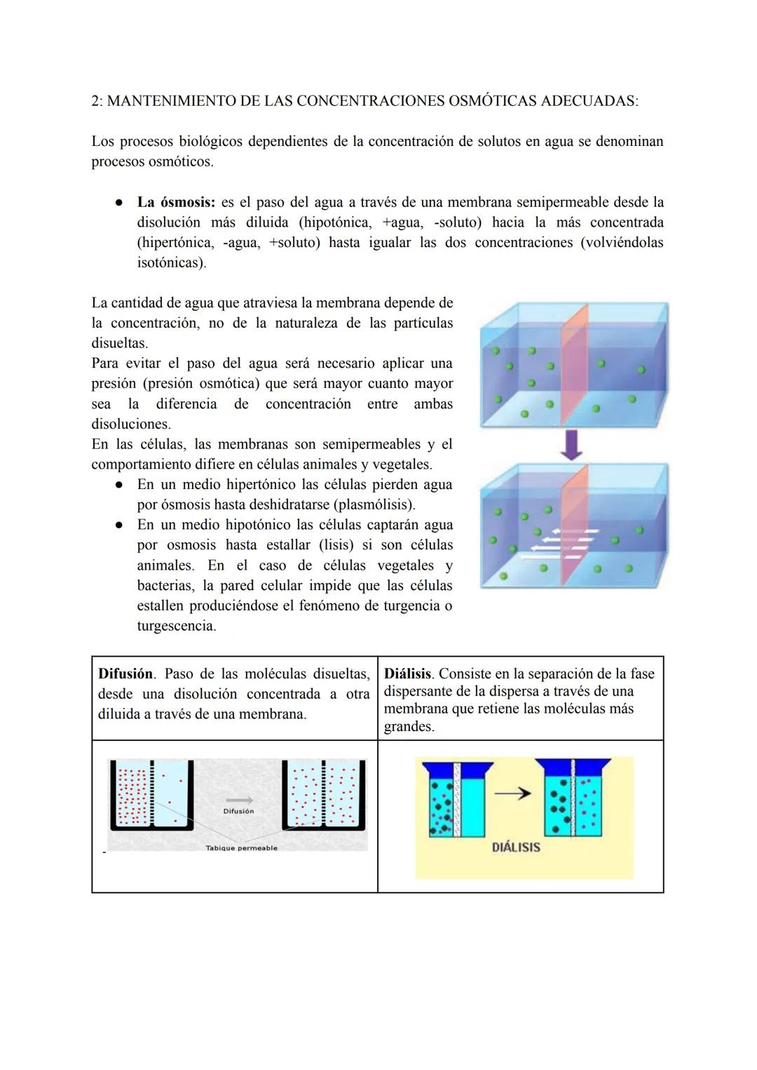 # TEMA 1: BIOMOLÉCULAS
INORGÁNICAS
CONTENIDOS
1. Bioelementos.
1.1. Propiedades de los bioelementos.
1.2. Clasificación de los bioelementos