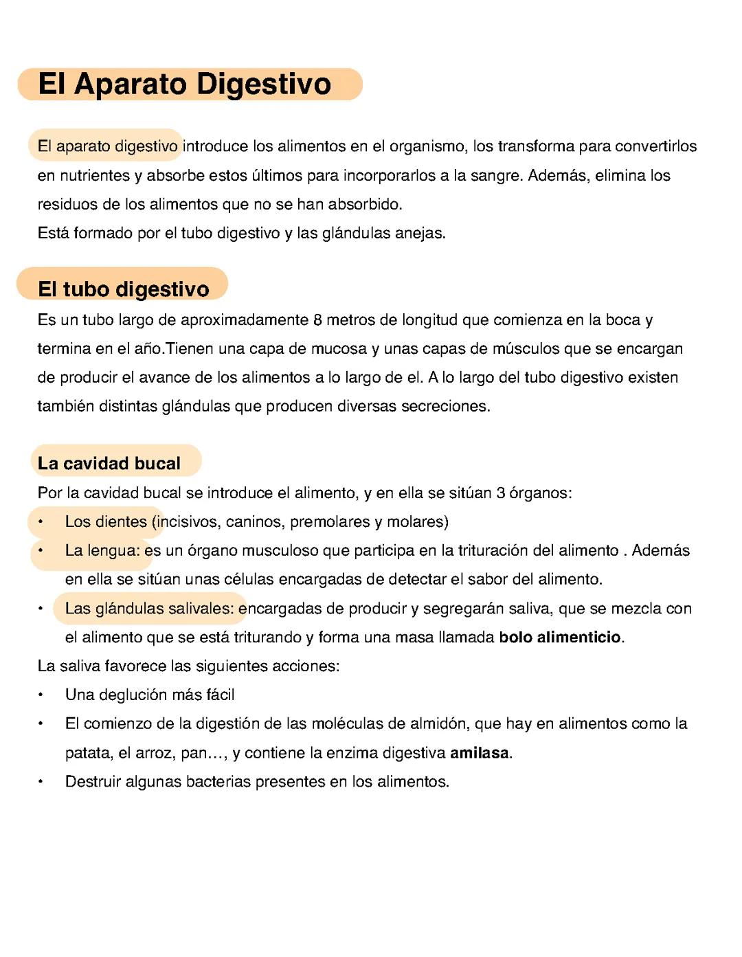 Aparato digestivo y respiratorio