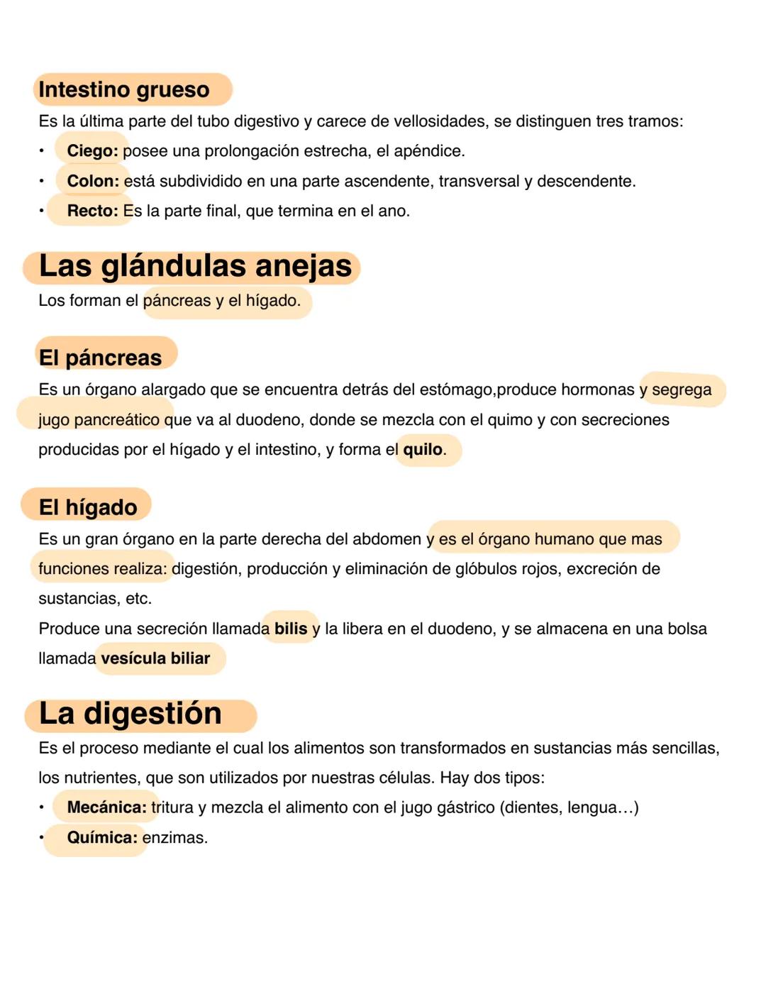# El Aparato Digestivo
El aparato digestivo introduce los alimentos en el organismo, los transforma para convertirlos
en nutrientes y absor