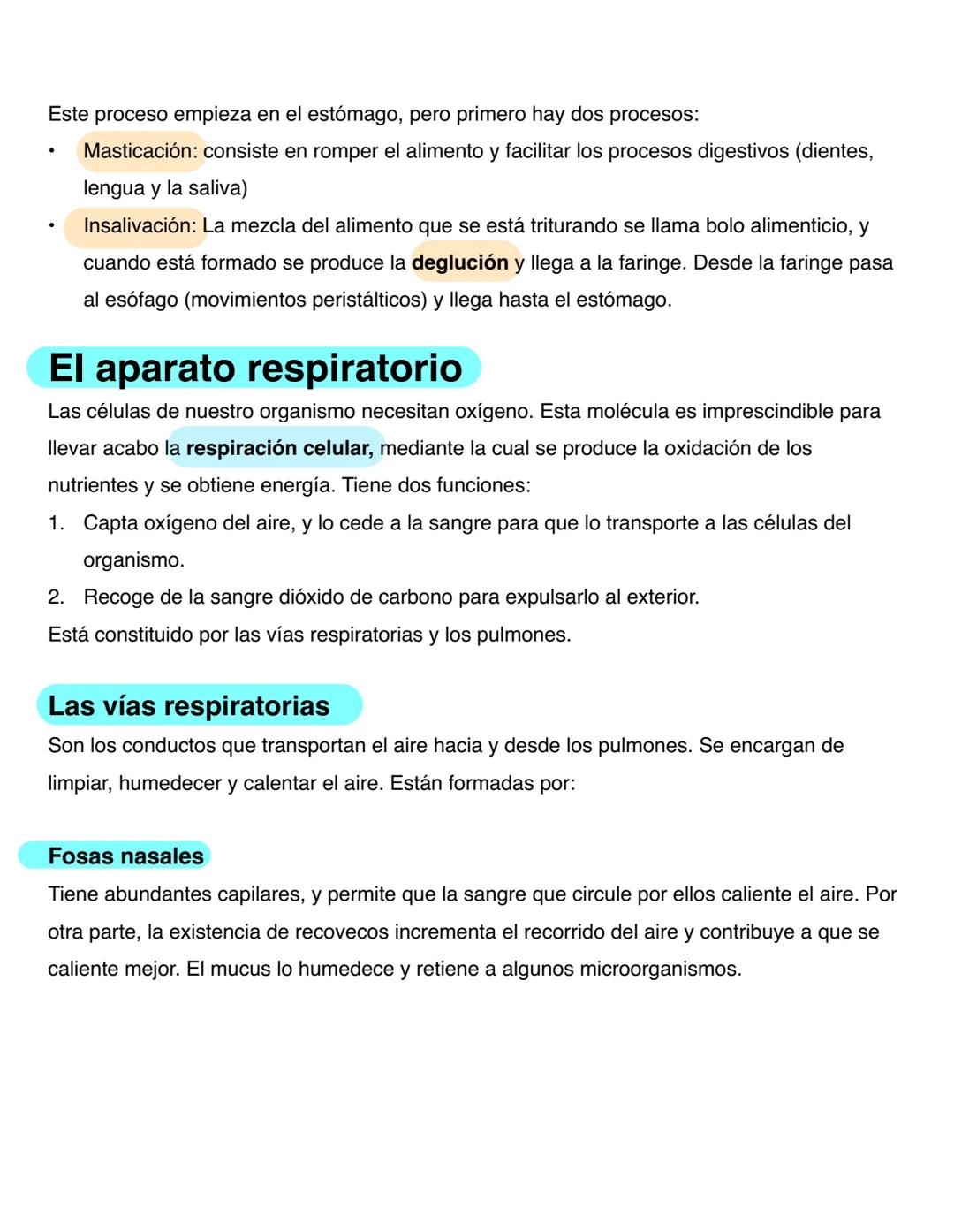 # El Aparato Digestivo
El aparato digestivo introduce los alimentos en el organismo, los transforma para convertirlos
en nutrientes y absor