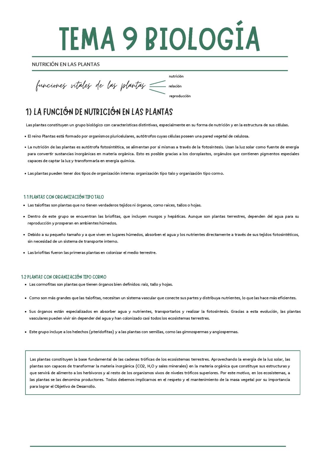 plantas