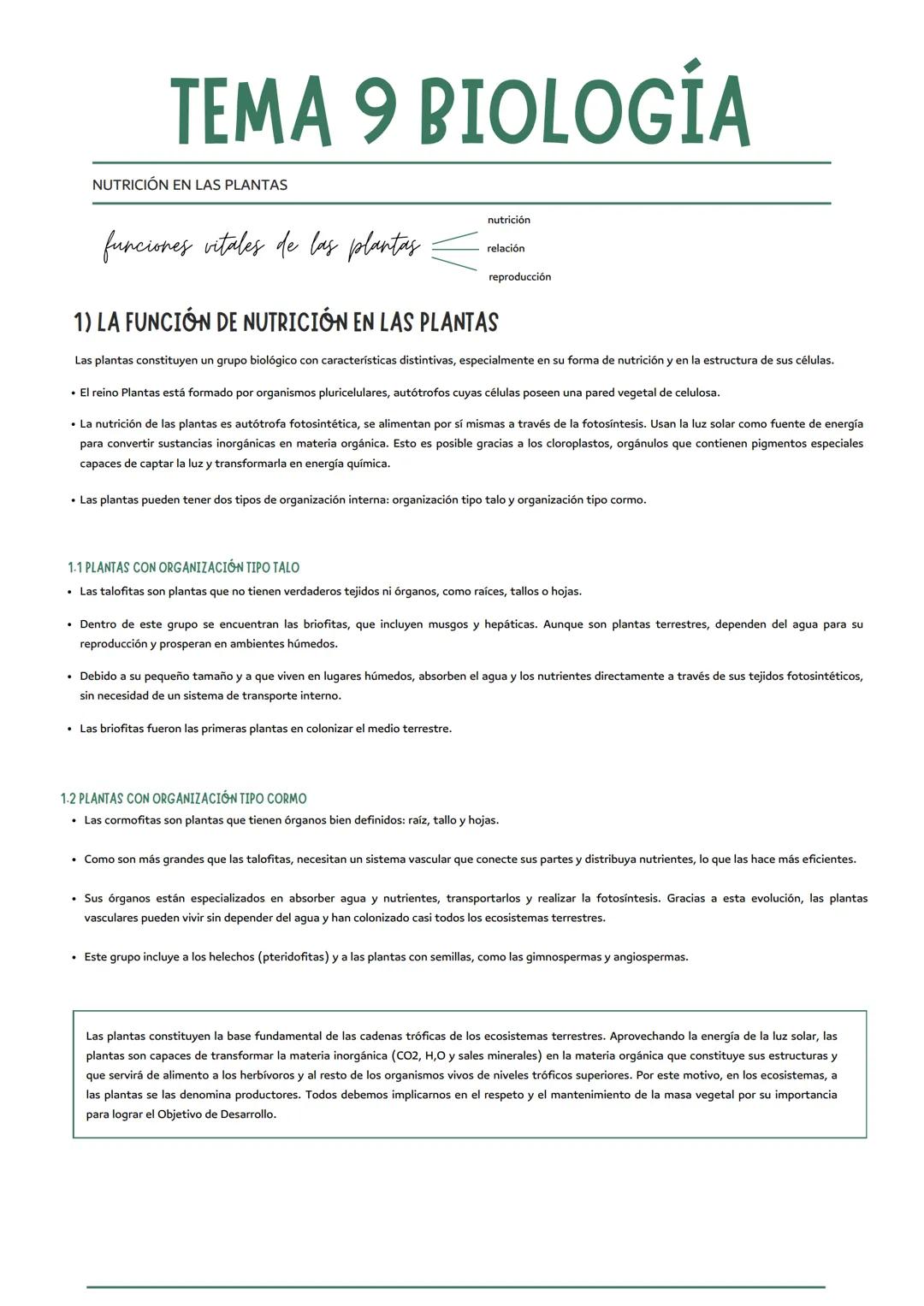 # TEMA 9 BIOLOGÍA
NUTRICIÓN EN LAS PLANTAS
funciones vitales de las plantas
nutrición
relación
reproducción
1) LA FUNCIÓN DE NUTRICIÓN EN LA