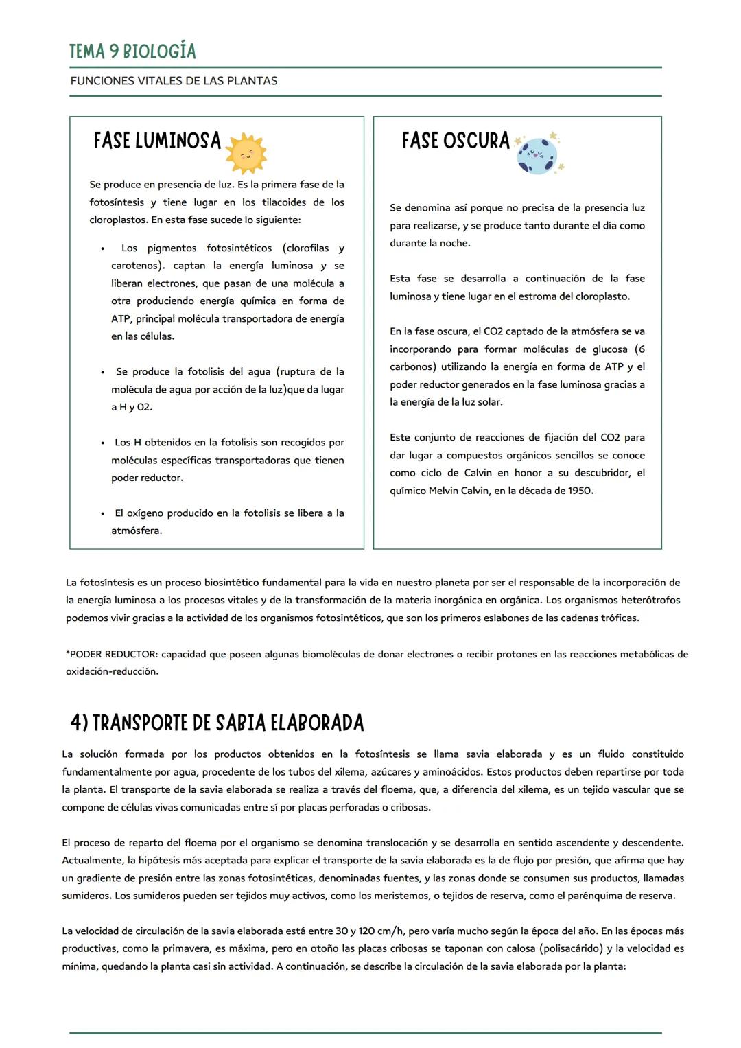 # TEMA 9 BIOLOGÍA
NUTRICIÓN EN LAS PLANTAS
funciones vitales de las plantas
nutrición
relación
reproducción
1) LA FUNCIÓN DE NUTRICIÓN EN LA