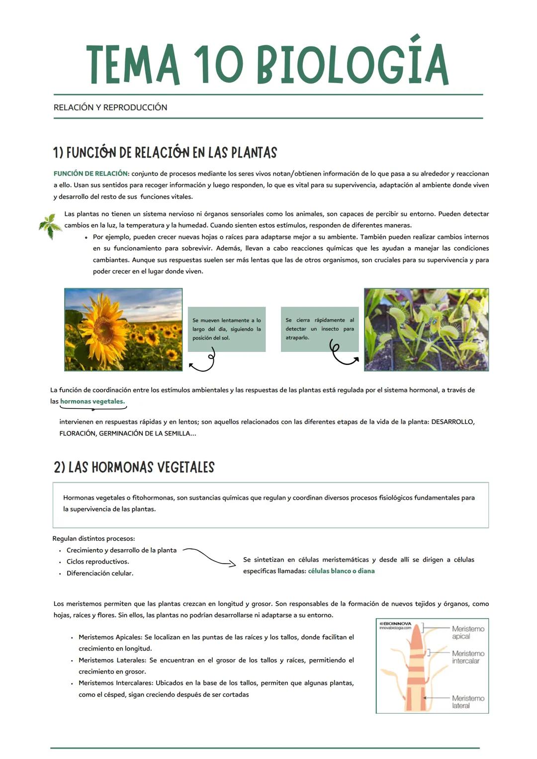 # TEMA 9 BIOLOGÍA
NUTRICIÓN EN LAS PLANTAS
funciones vitales de las plantas
nutrición
relación
reproducción
1) LA FUNCIÓN DE NUTRICIÓN EN LA