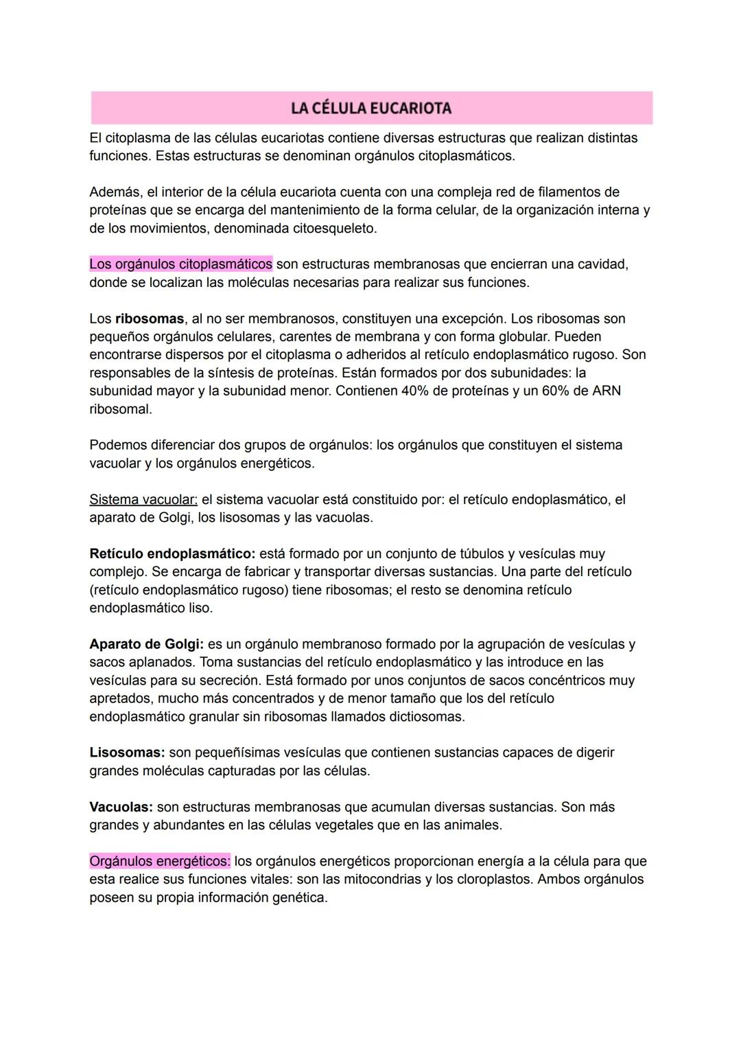 # LA BASE DE LA VIDA
La parte más pequeña de un organismo vivo, que conserva las funciones vitales, es la célula. Todos los seres vivos est
