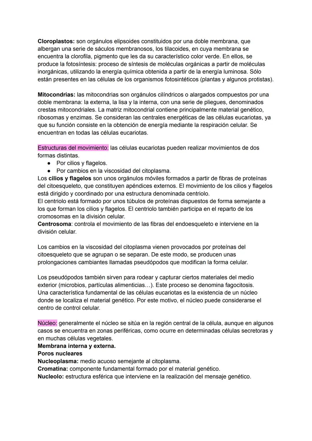 # LA BASE DE LA VIDA
La parte más pequeña de un organismo vivo, que conserva las funciones vitales, es la célula. Todos los seres vivos est