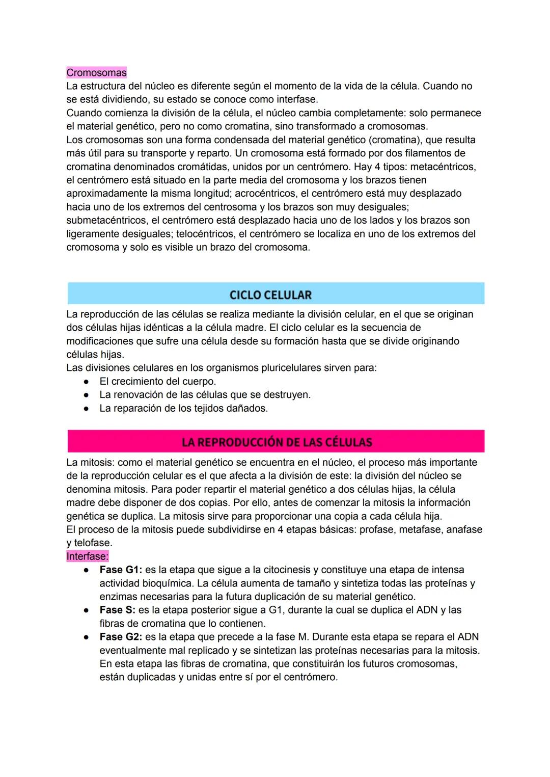 # LA BASE DE LA VIDA
La parte más pequeña de un organismo vivo, que conserva las funciones vitales, es la célula. Todos los seres vivos est