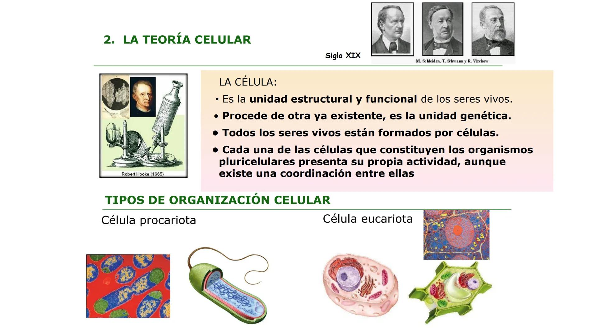 # LA CÉLULA
1. NIVELES DE ORGANIZACIÓN.
2.LA TEORÍA CELULAR Y LOS TIPOS DE ORGANIZACIÓN CELULAR
A/ CÉLULA PROCARIOTA
B/ CÉLULA EUCARIOTA
3.