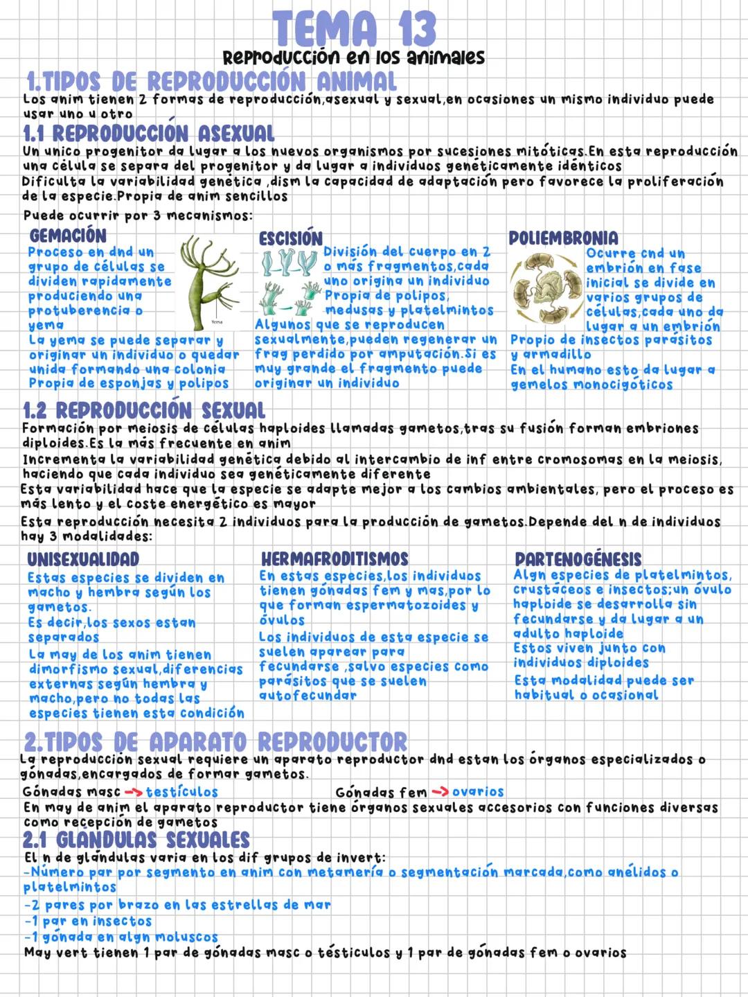Tema 13. Reprodución en loa animales
