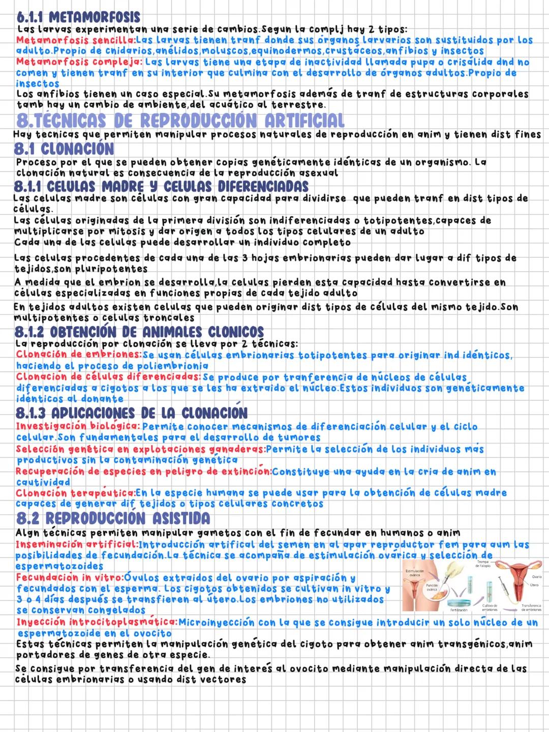 # TEMA 13
Reproducción en los animales
1.TIPOS DE REPRODUCCIÓN ANIMAL
Los anim tienen 2 formas de reproducción, asexual y sexual, en ocasio