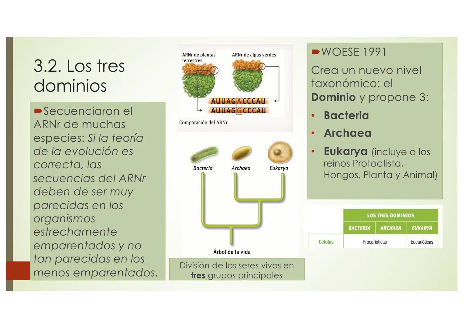 T9 1.3. La diversidad de
los seres vivos
Elefante Mamut, Elefante Dugón Vaca de Manatí Damán
africano
Steller, De nombres y falsos parientes