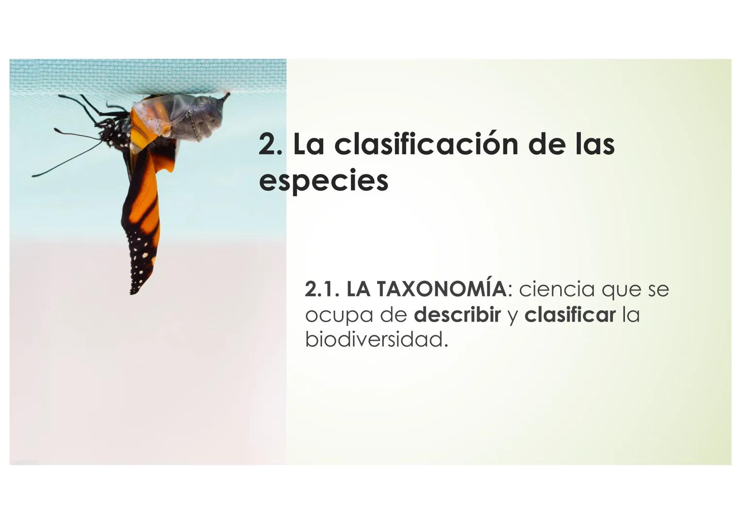 T9 1.3. La diversidad de
los seres vivos
Elefante Mamut, Elefante Dugón Vaca de Manatí Damán
africano
Steller, De nombres y falsos parientes