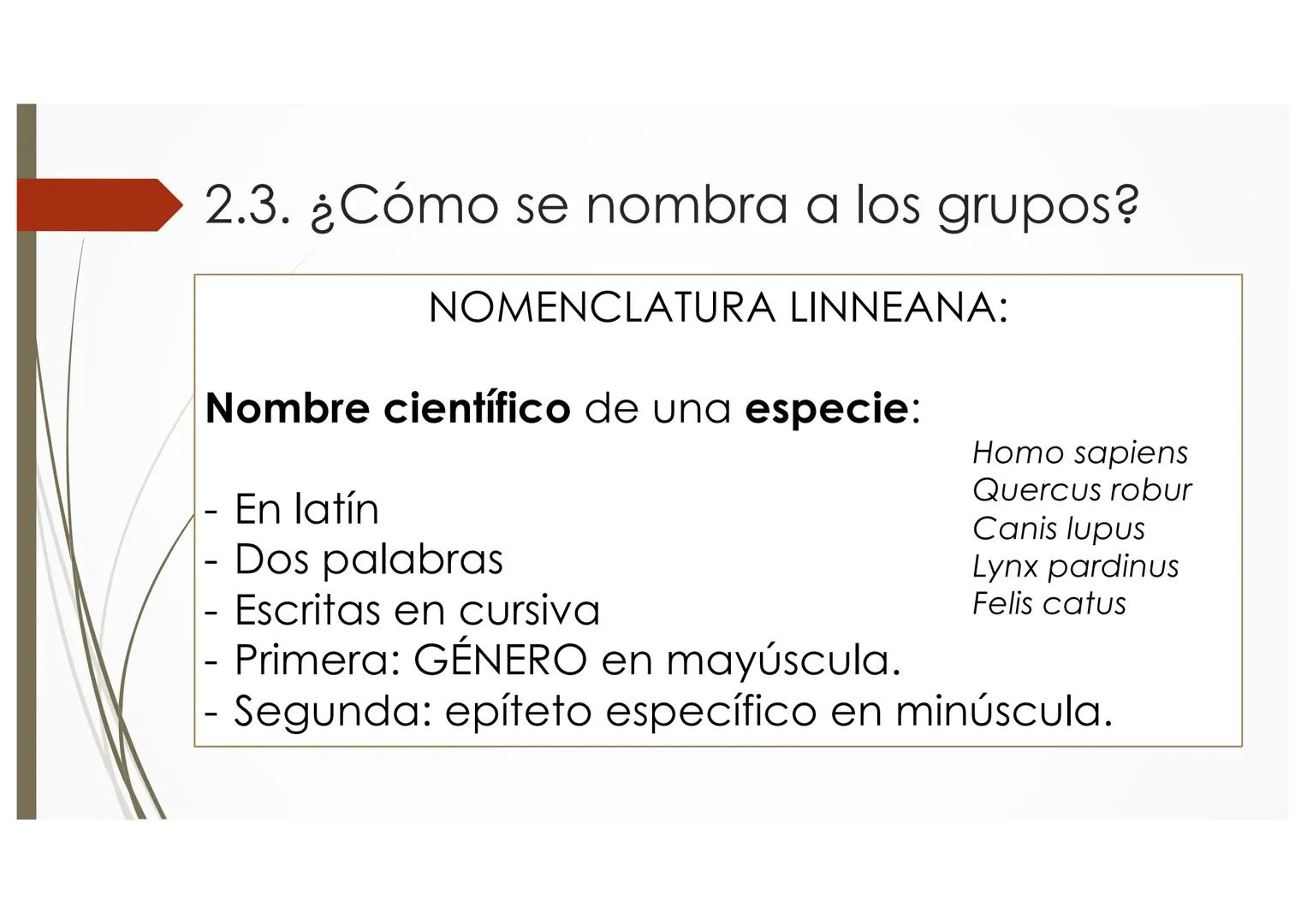 T9 1.3. La diversidad de
los seres vivos
Elefante Mamut, Elefante Dugón Vaca de Manatí Damán
africano
Steller, De nombres y falsos parientes