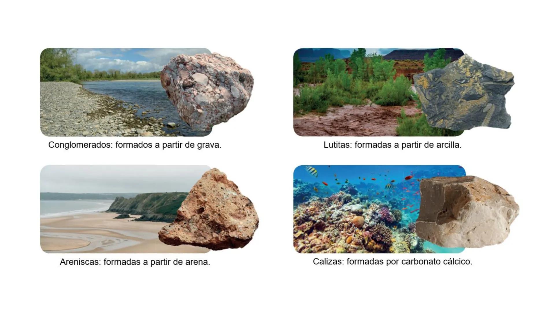 # HISTORIA DEL PLANETA
TIERRA # Un planeta que cambia # 1.1 Concepciones históricas
### A) Catastrofismo
• Las especies actuales siguen si