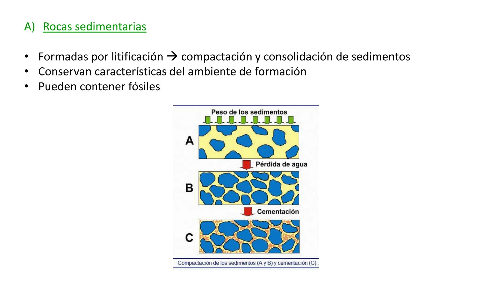 # HISTORIA DEL PLANETA
TIERRA # Un planeta que cambia # 1.1 Concepciones históricas
### A) Catastrofismo
• Las especies actuales siguen si