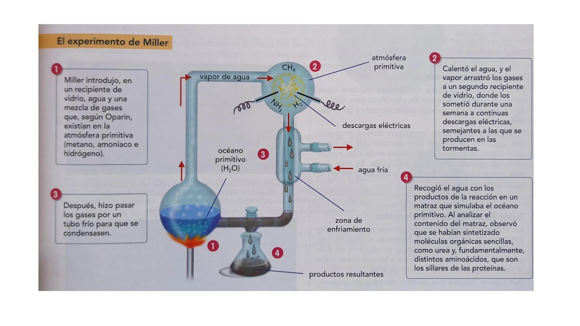 # ORIGEN Y EVOLUCIÓN
# DE LOS SERES VIVOS El origen de la vida Hipótesis sobre
el origen de la
vida
Creacionismo
Experimento de Redi
Generac
